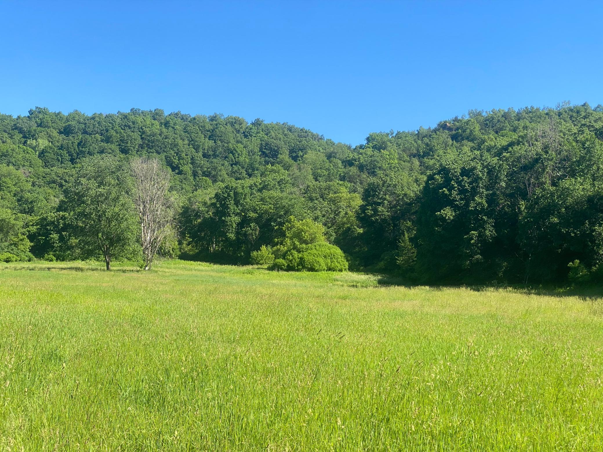 27333 Deep River Road Property Photo 14