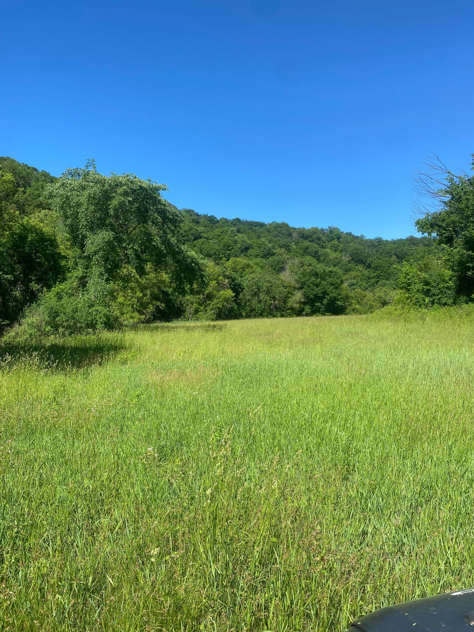 27333 Deep River Road Property Photo 18