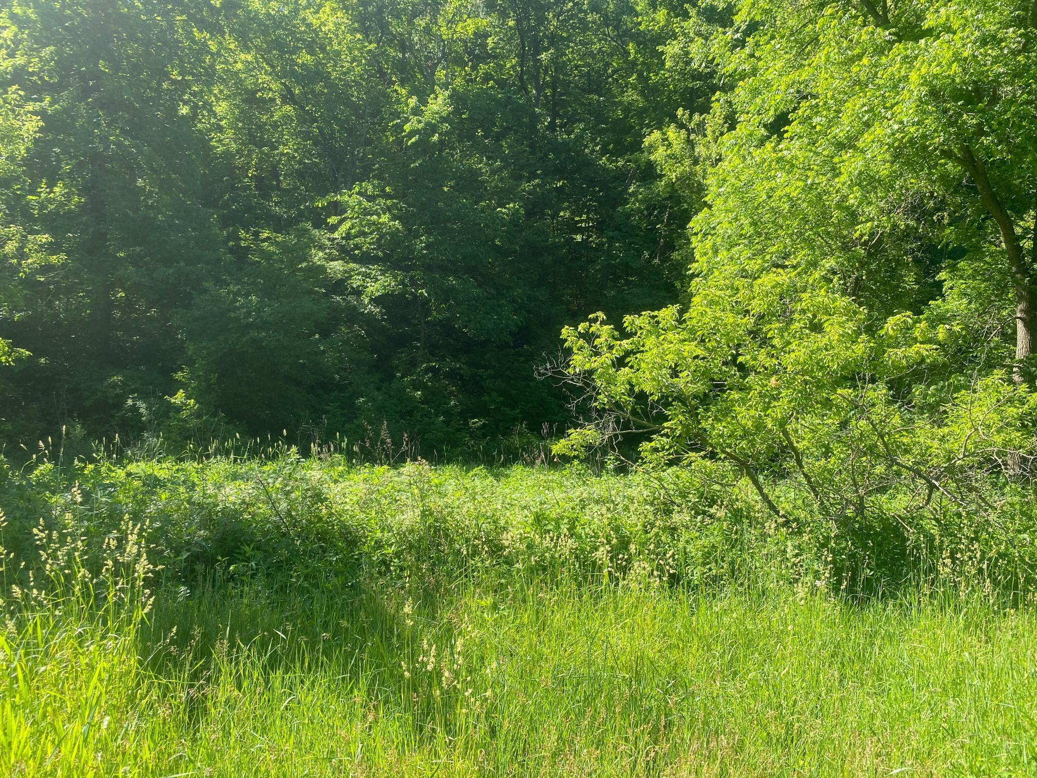 27333 Deep River Road Property Photo 19