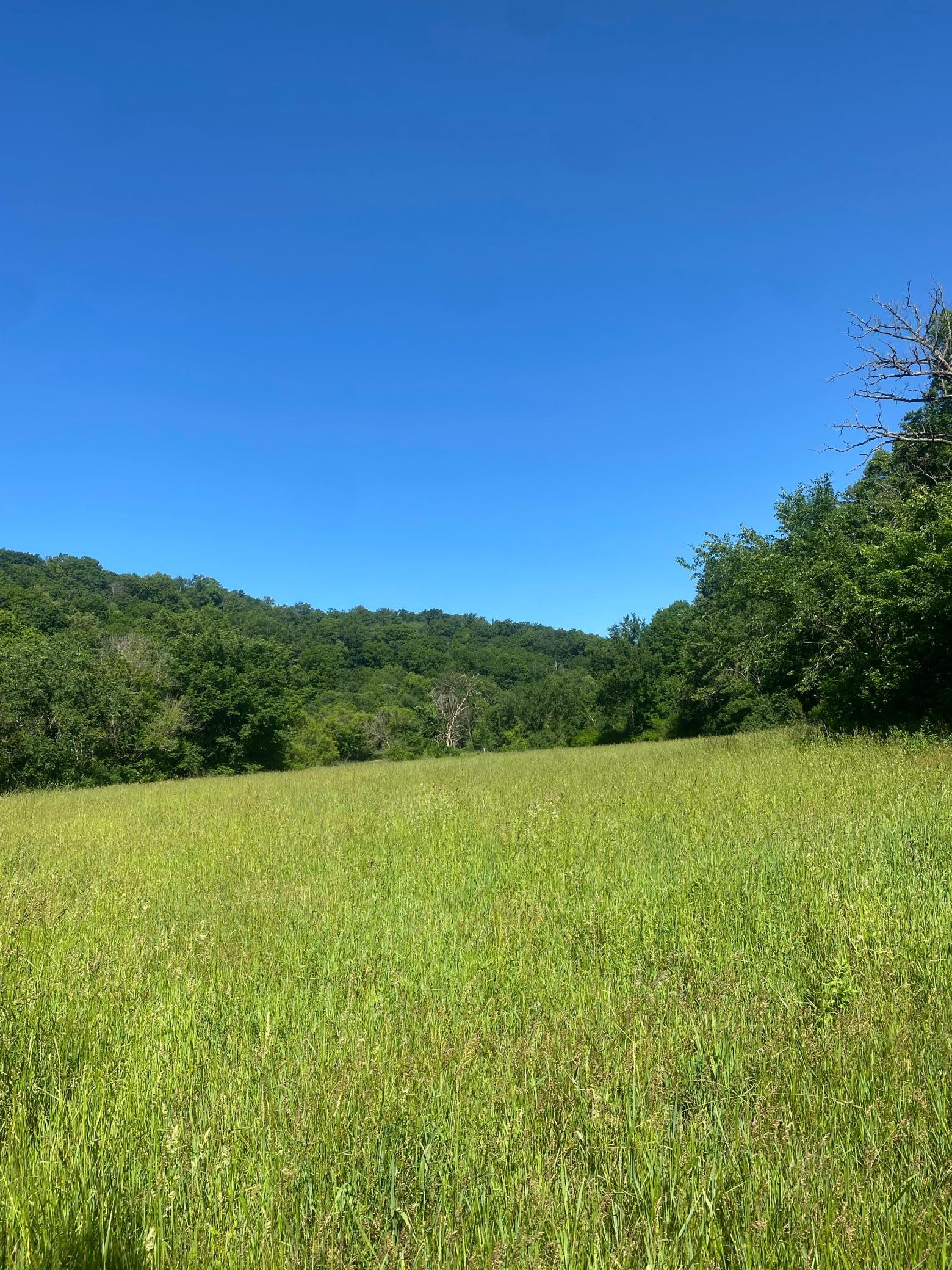 27333 Deep River Road Property Photo 21