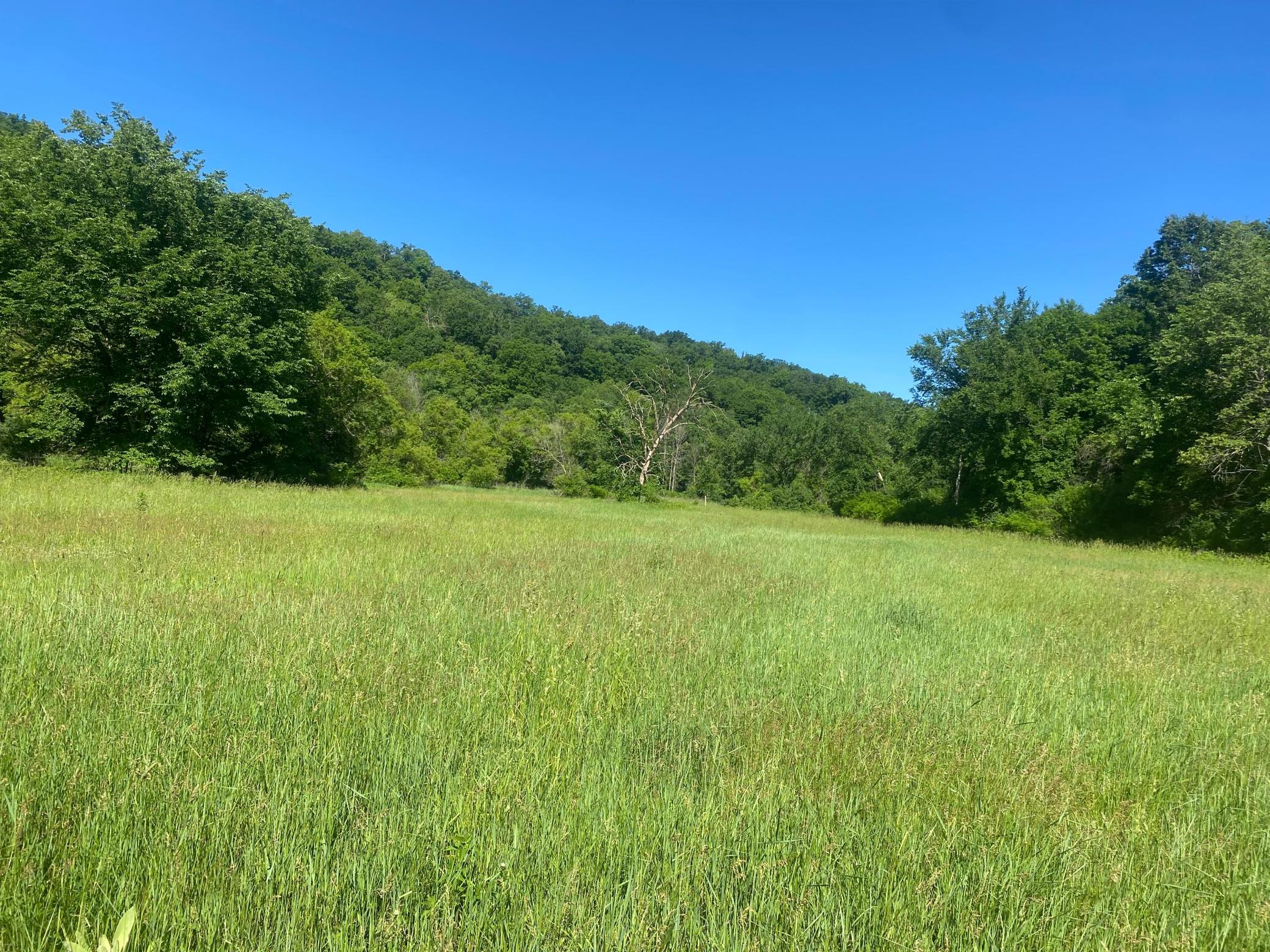 27333 Deep River Road Property Photo 22