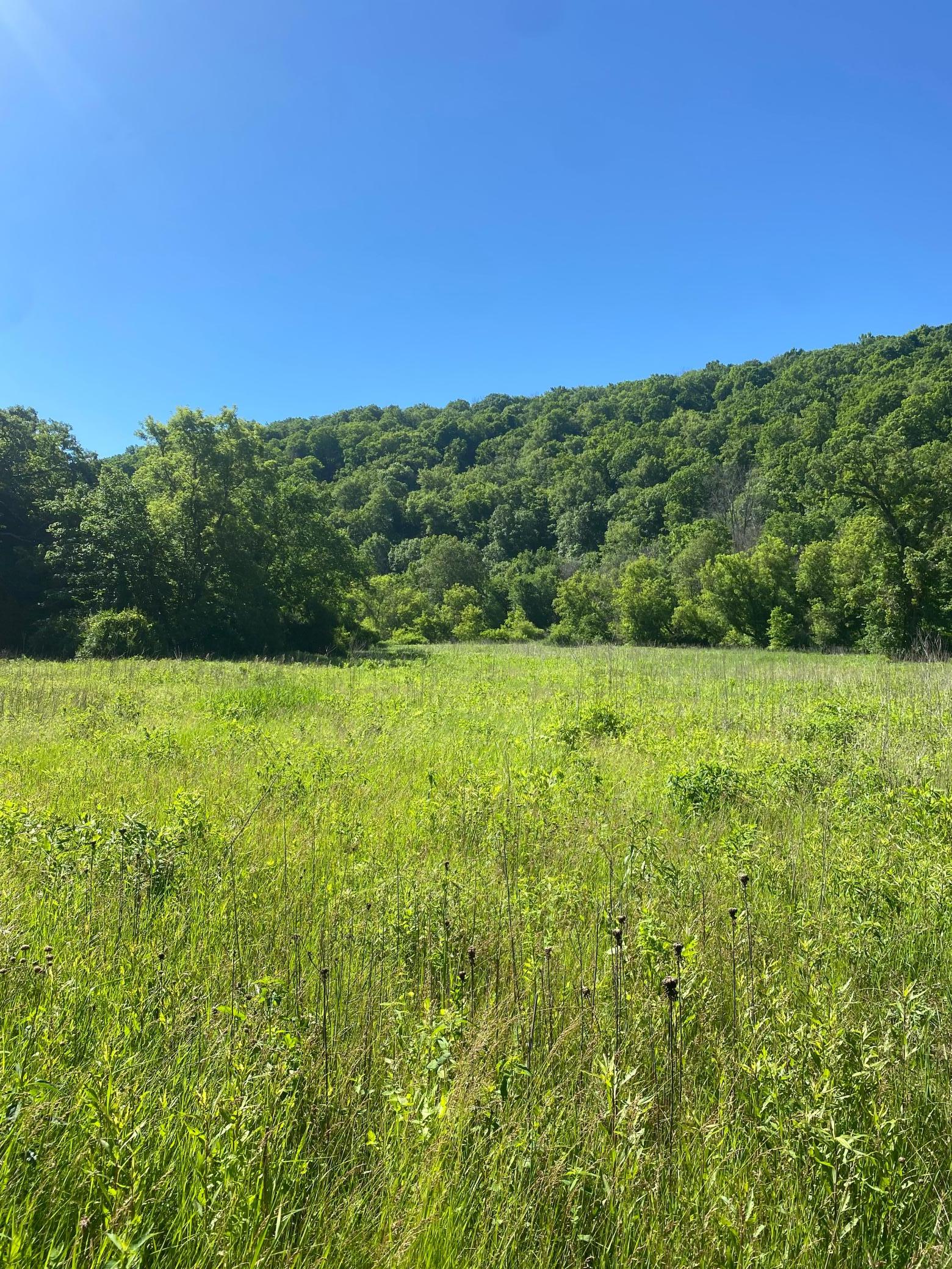 27333 Deep River Road Property Photo 23