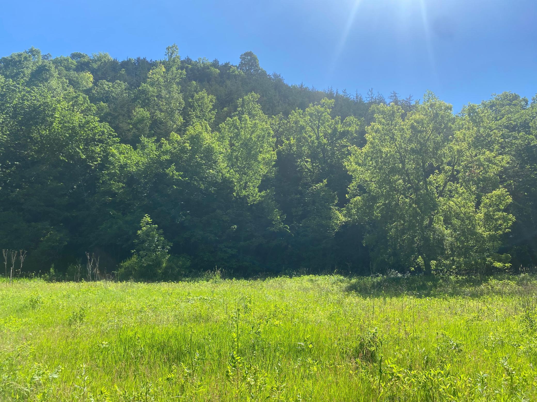 27333 Deep River Road Property Photo 24