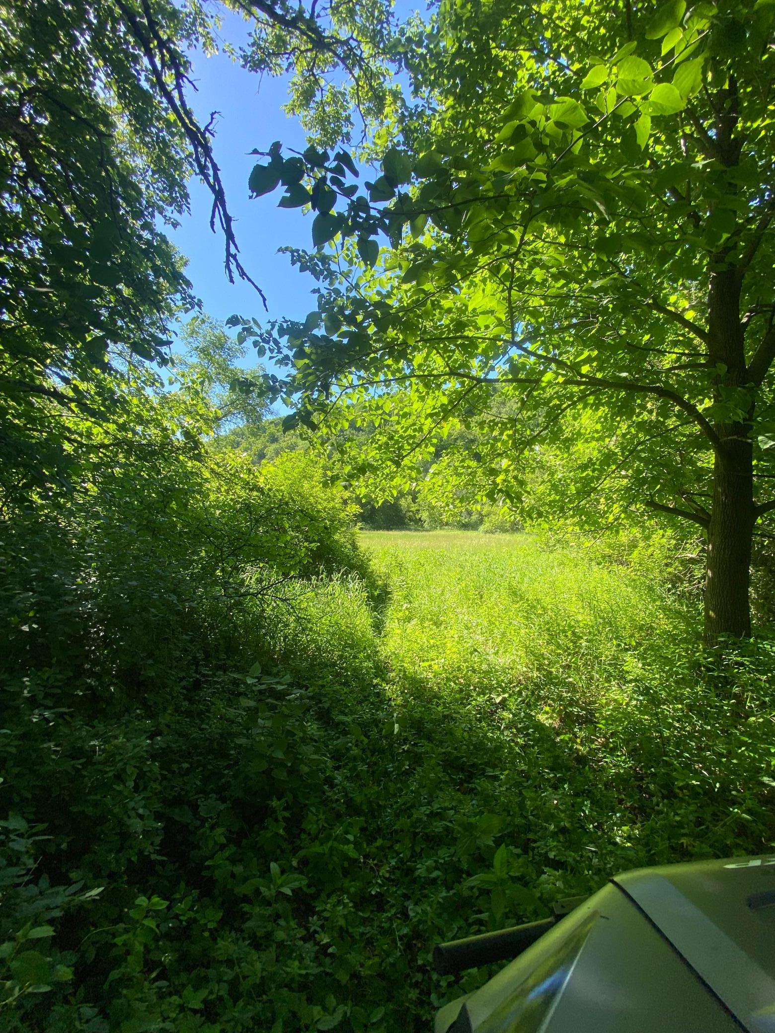 27333 Deep River Road Property Photo 29