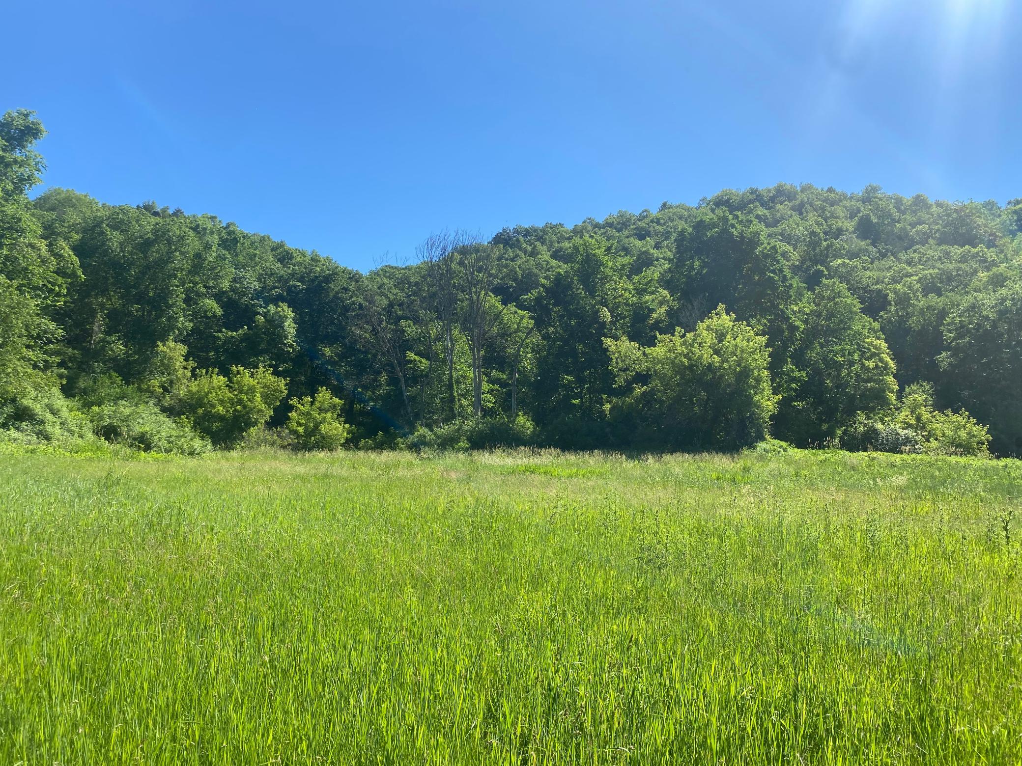 27333 Deep River Road Property Photo 35