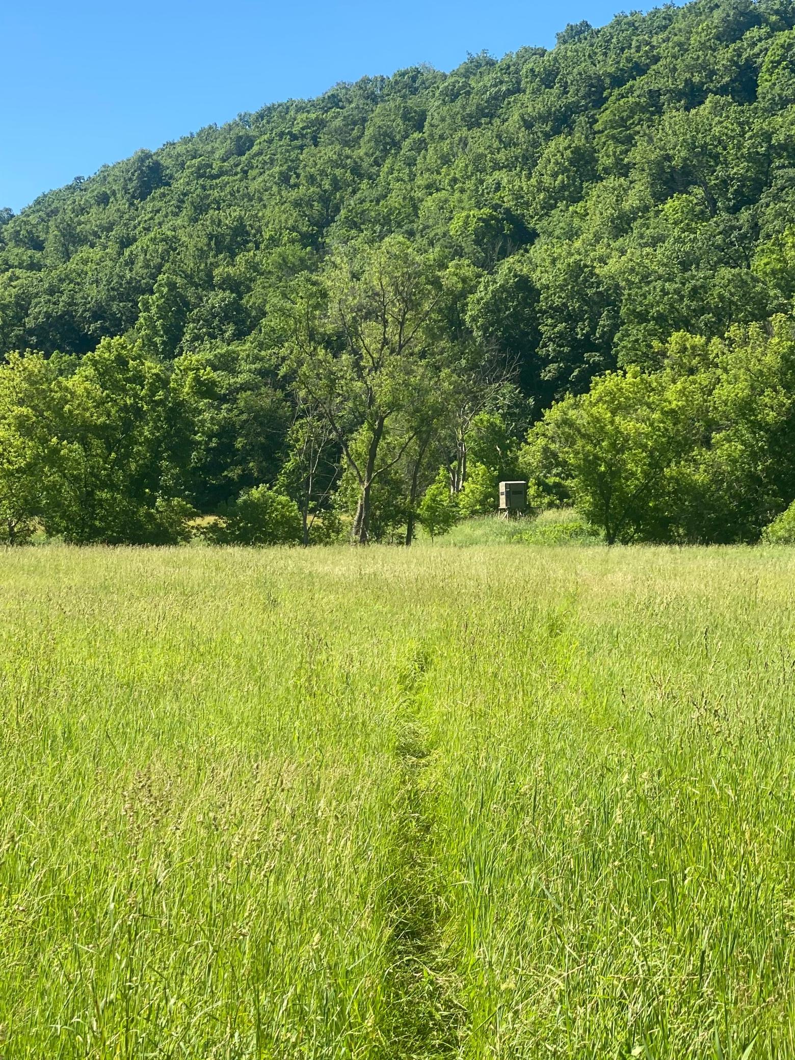 27333 Deep River Road Property Photo 38