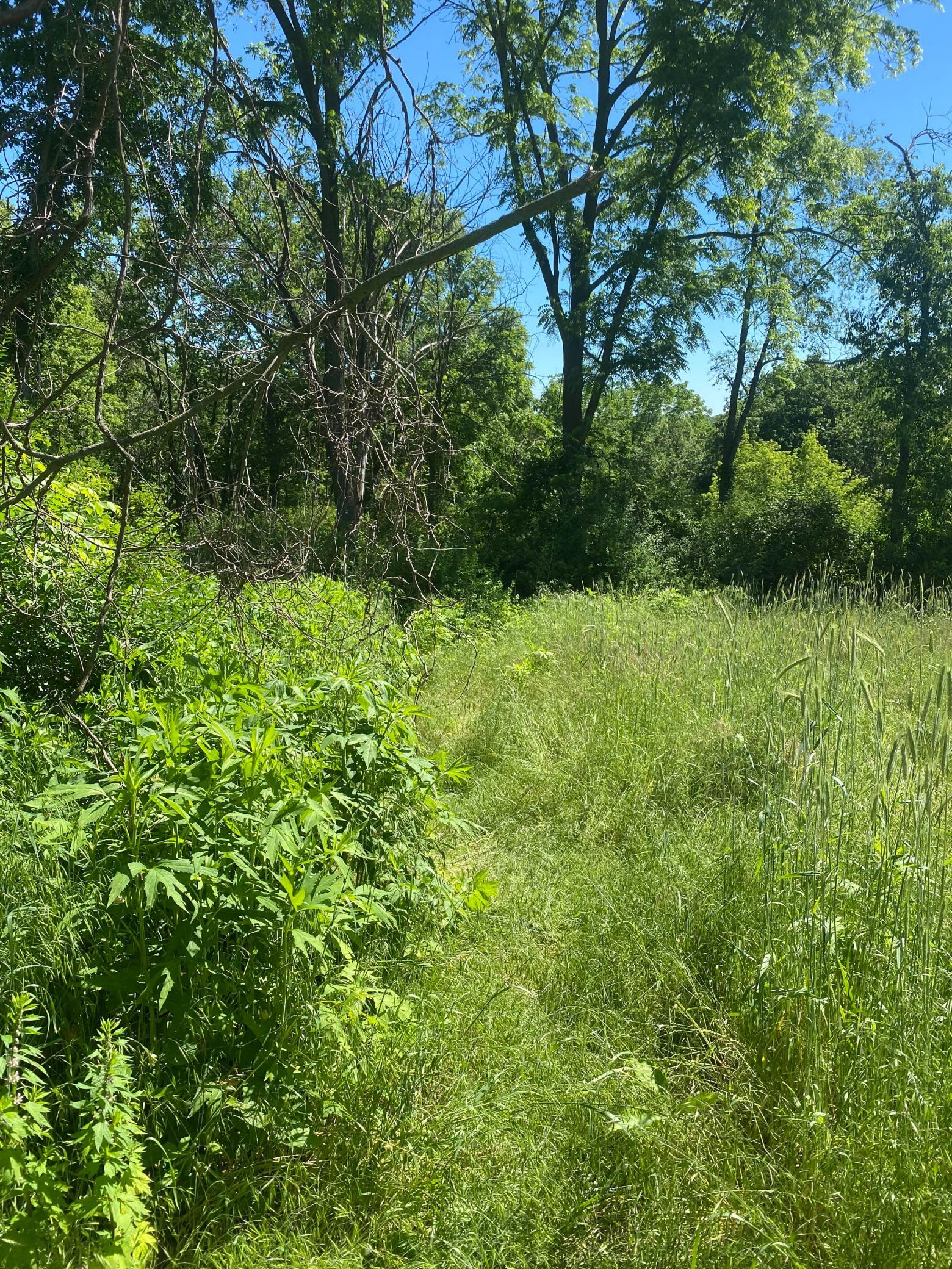 27333 Deep River Road Property Photo 41