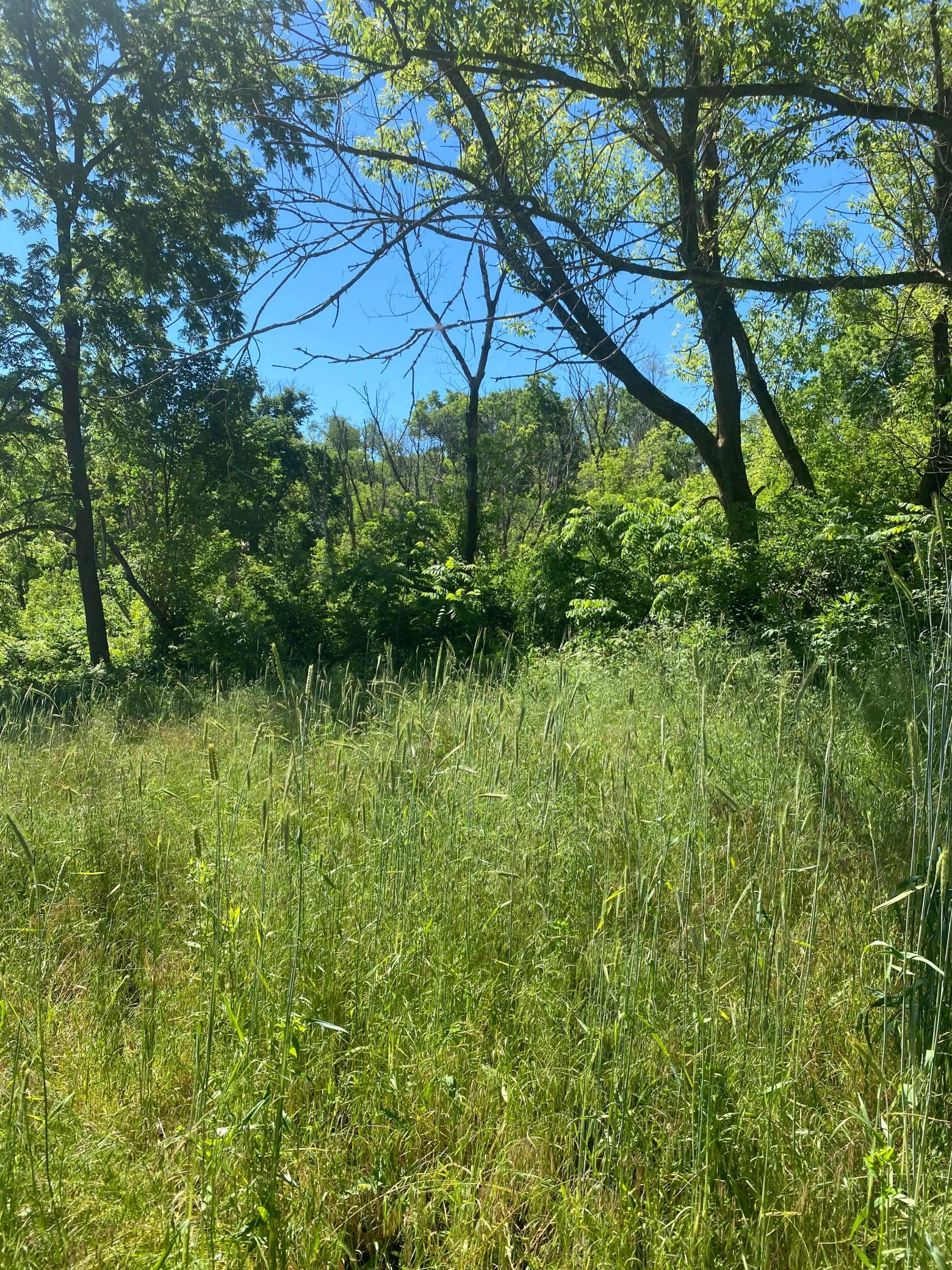 27333 Deep River Road Property Photo 42