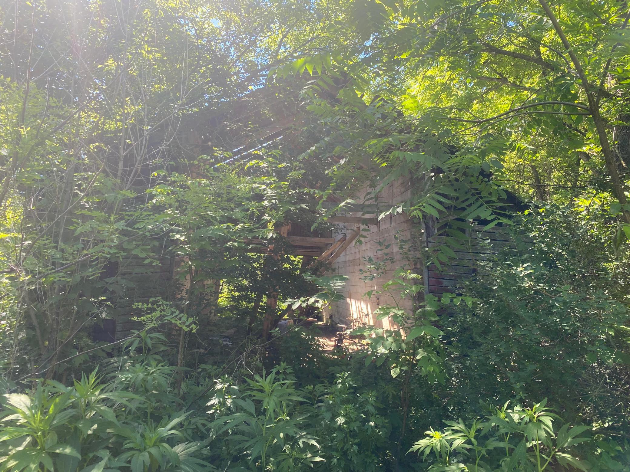 27333 Deep River Road Property Photo 43