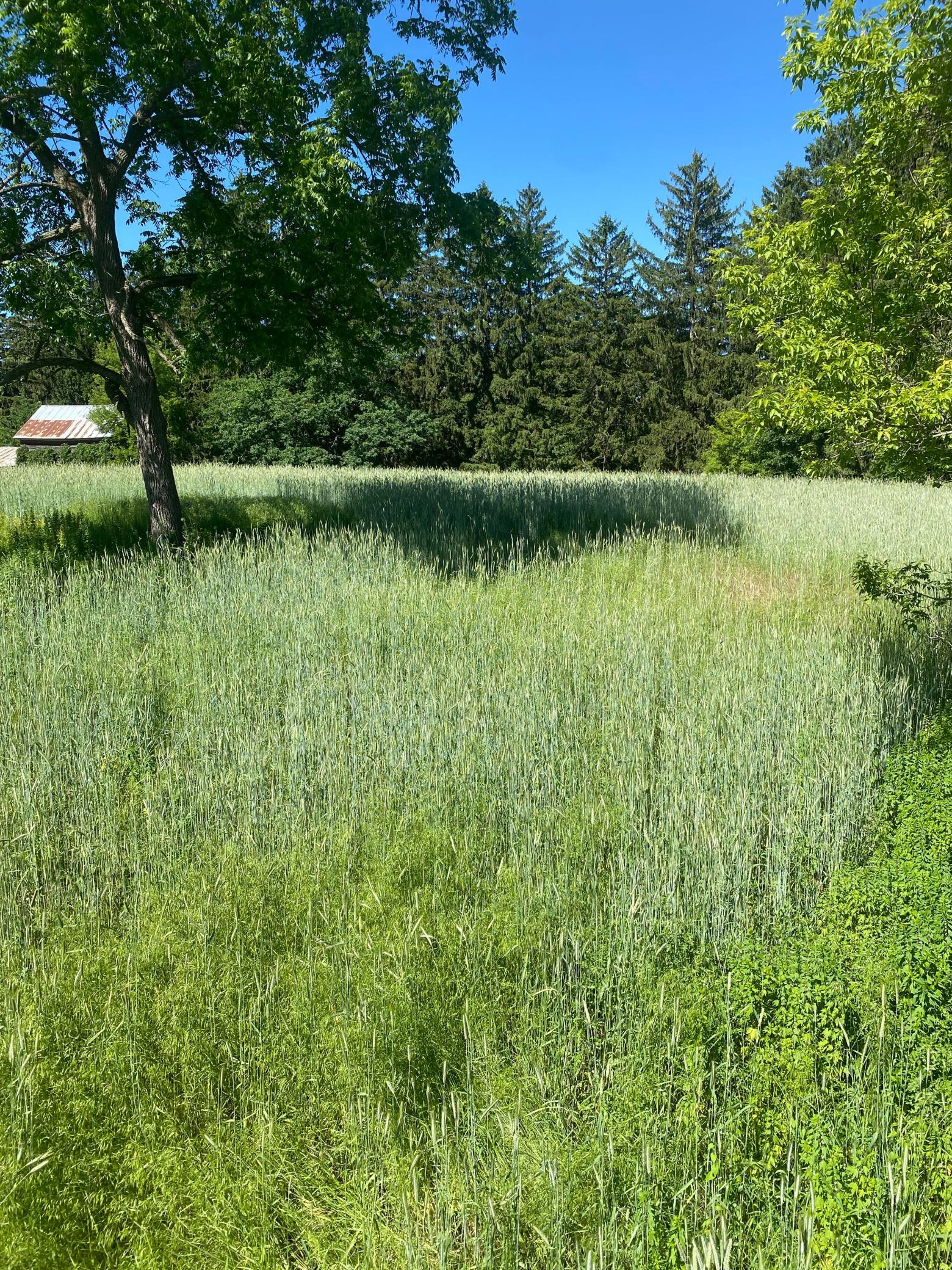 27333 Deep River Road Property Photo 44