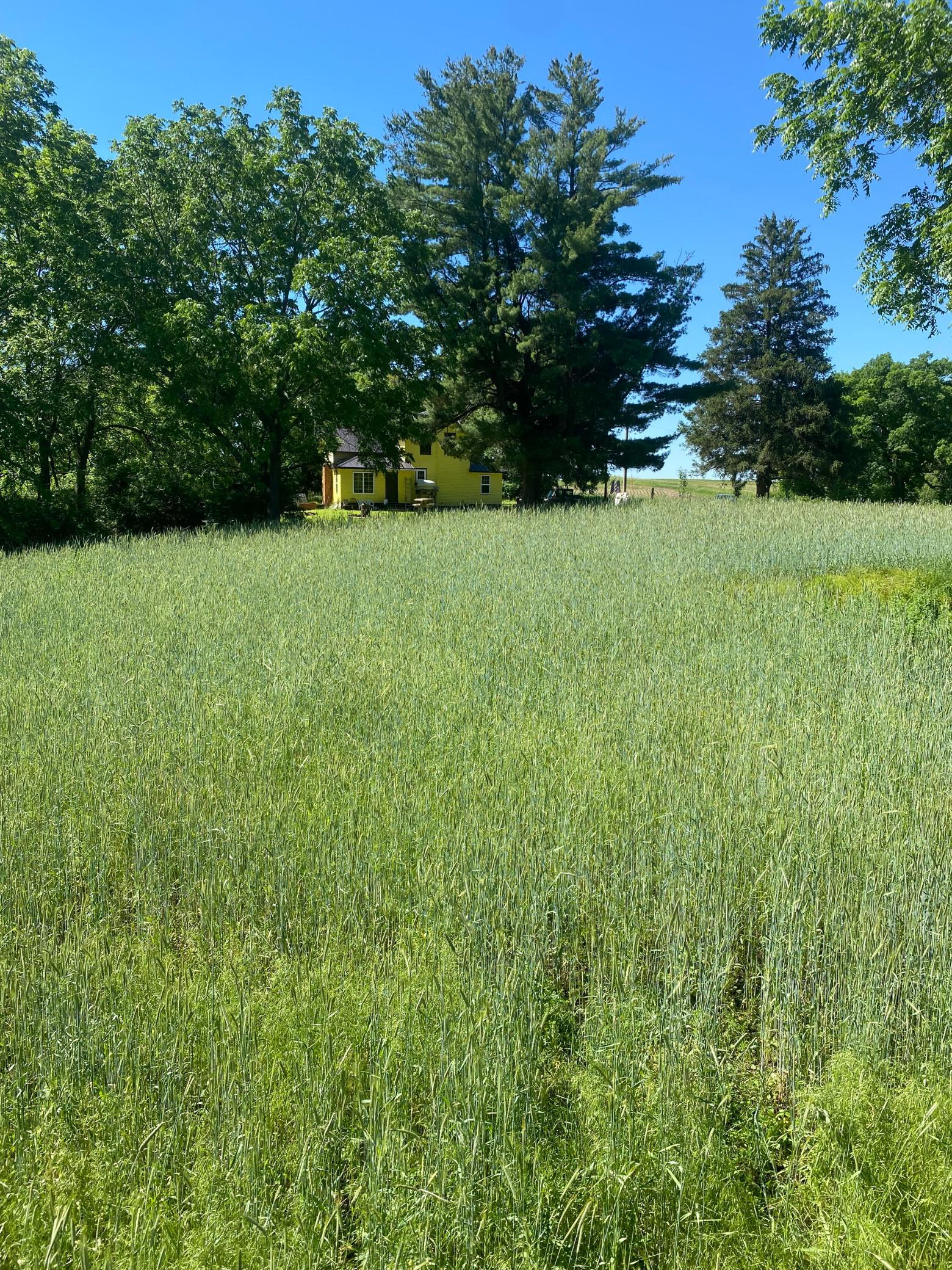 27333 Deep River Road Property Photo 46