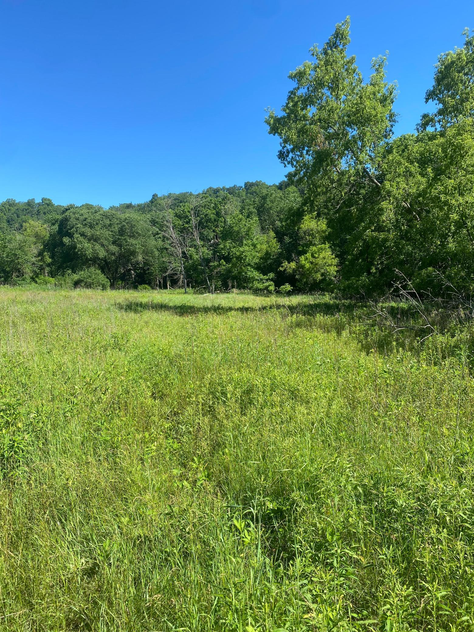 27333 Deep River Road Property Photo 47