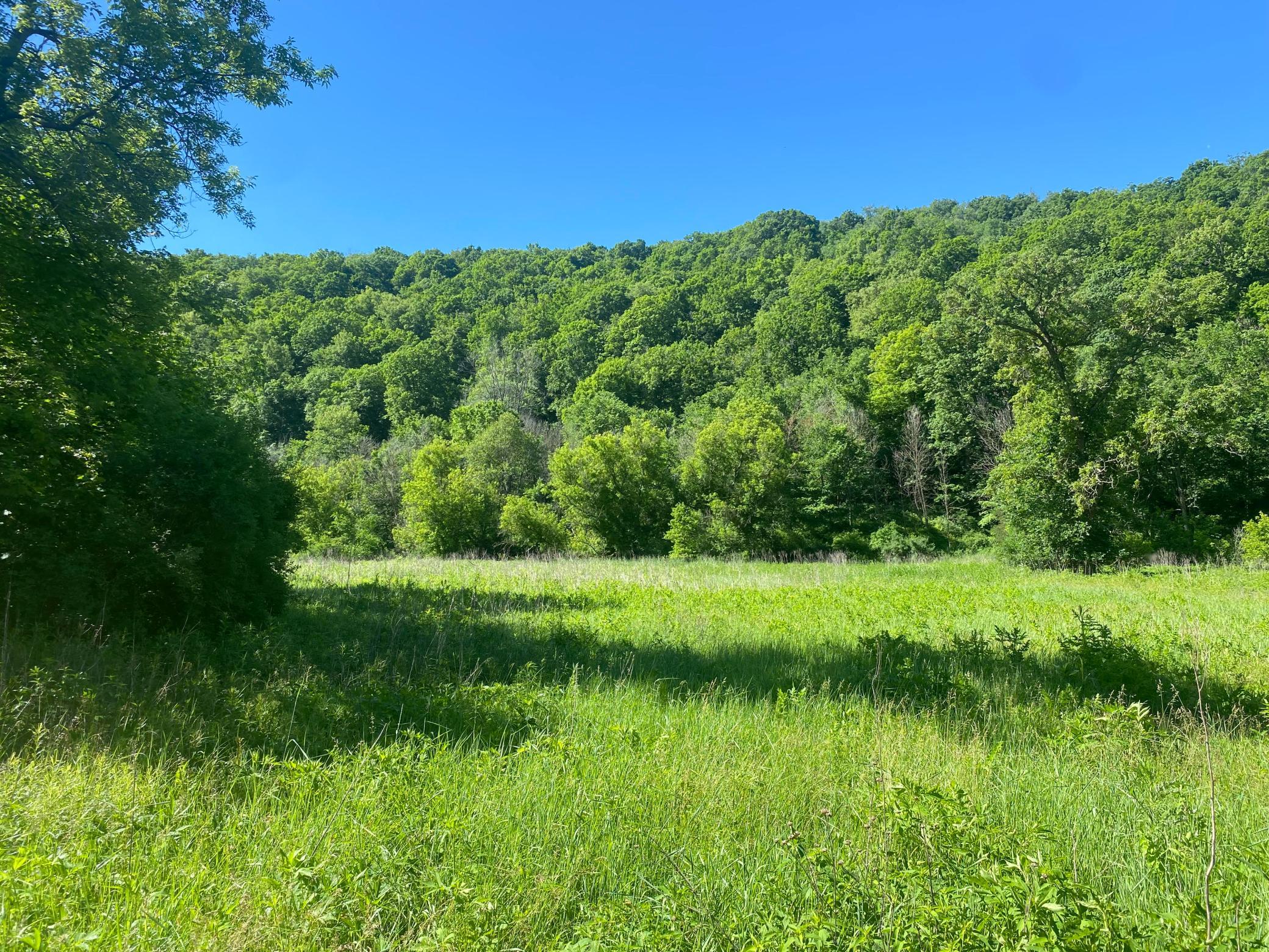 27333 Deep River Road Property Photo 48