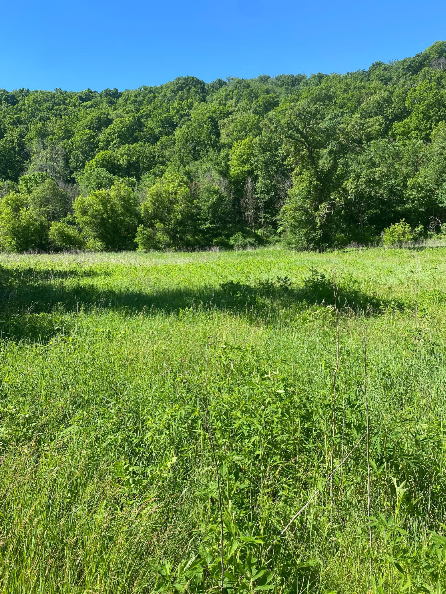 27333 Deep River Road Property Photo 49