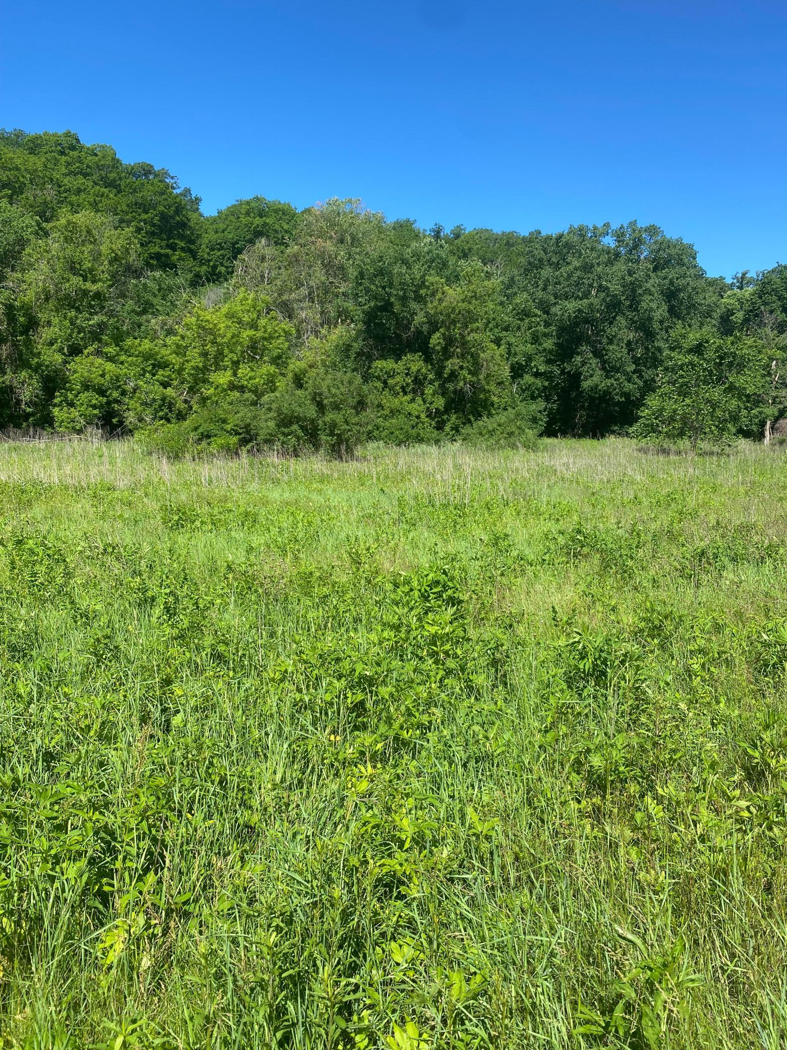 27333 Deep River Road Property Photo 50