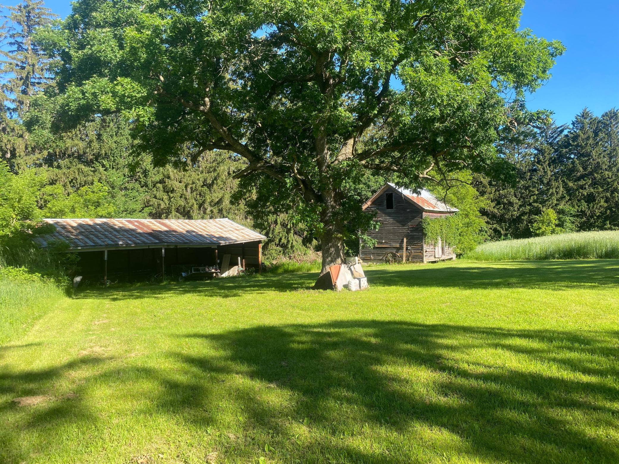 27333 Deep River Road Property Photo 52