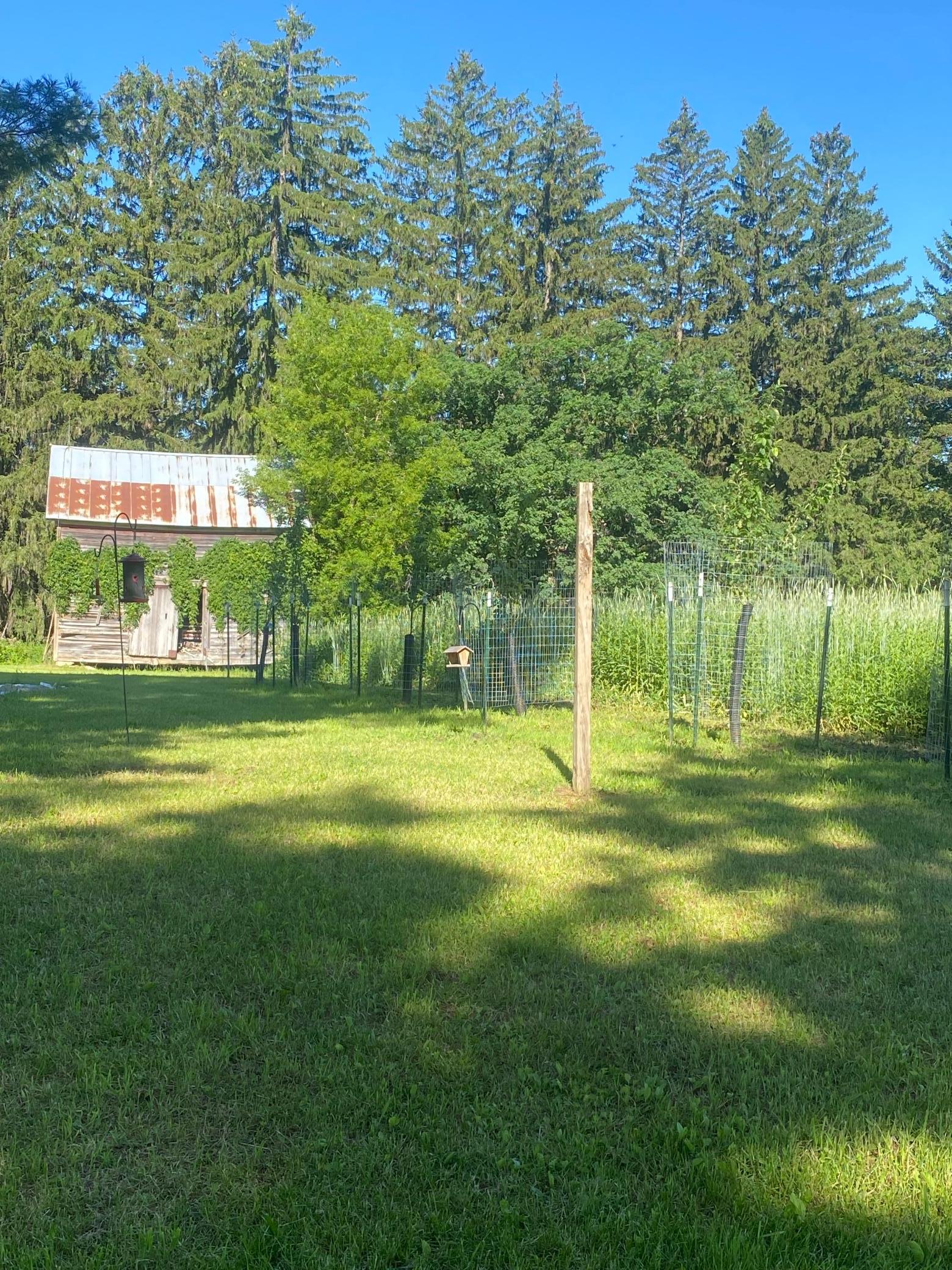 27333 Deep River Road Property Photo 65