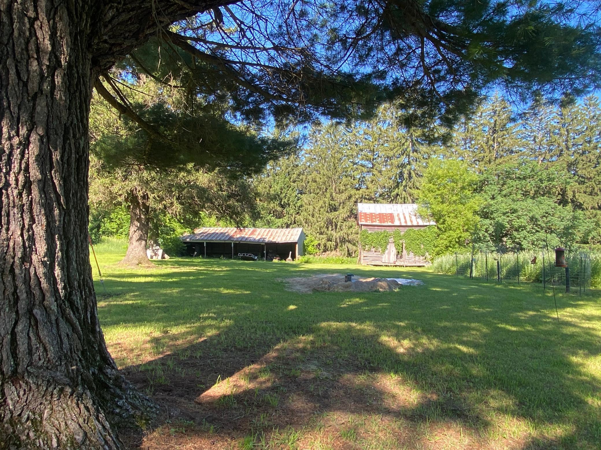 27333 Deep River Road Property Photo 66
