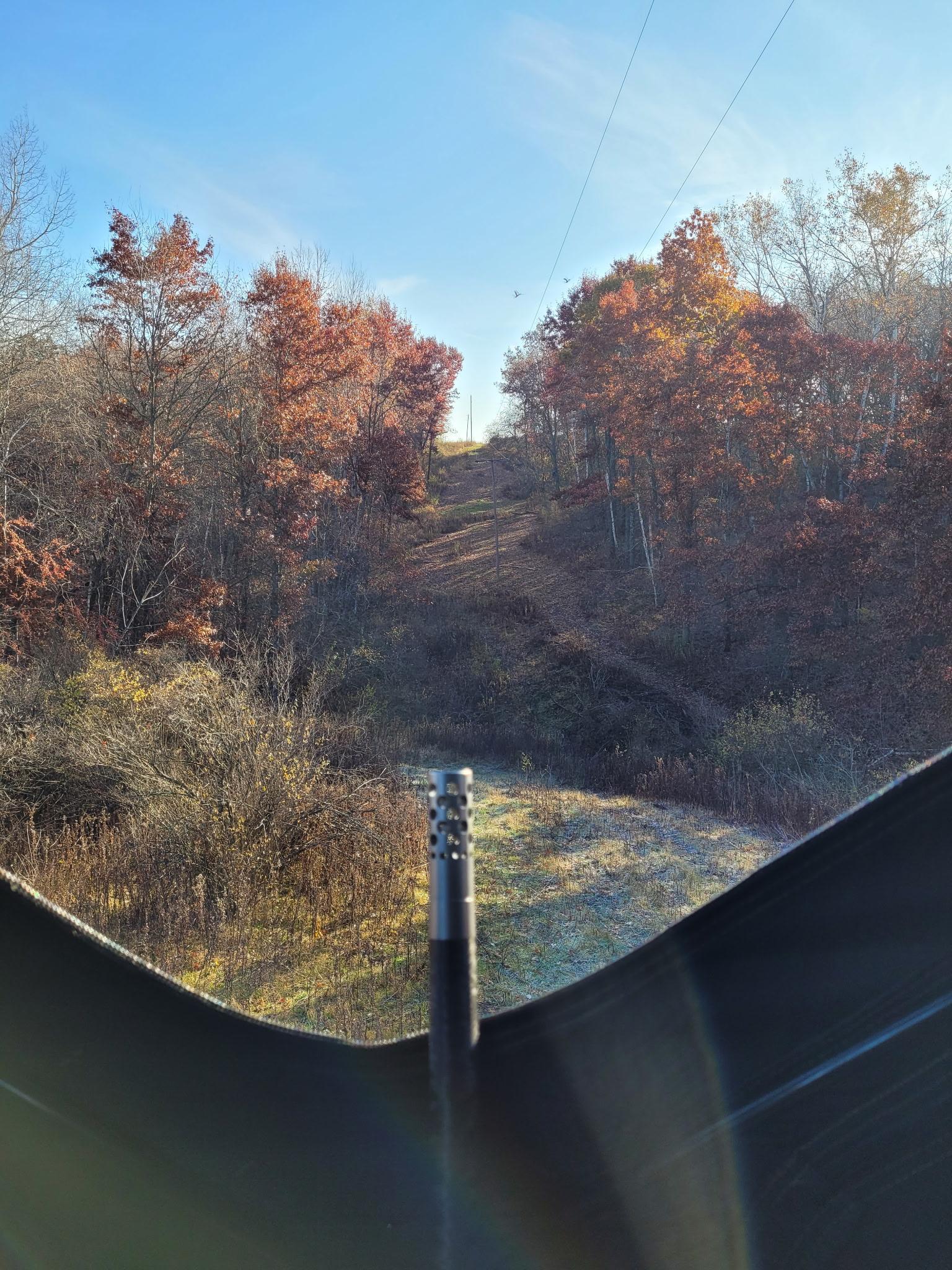 27333 Deep River Road Property Photo 69