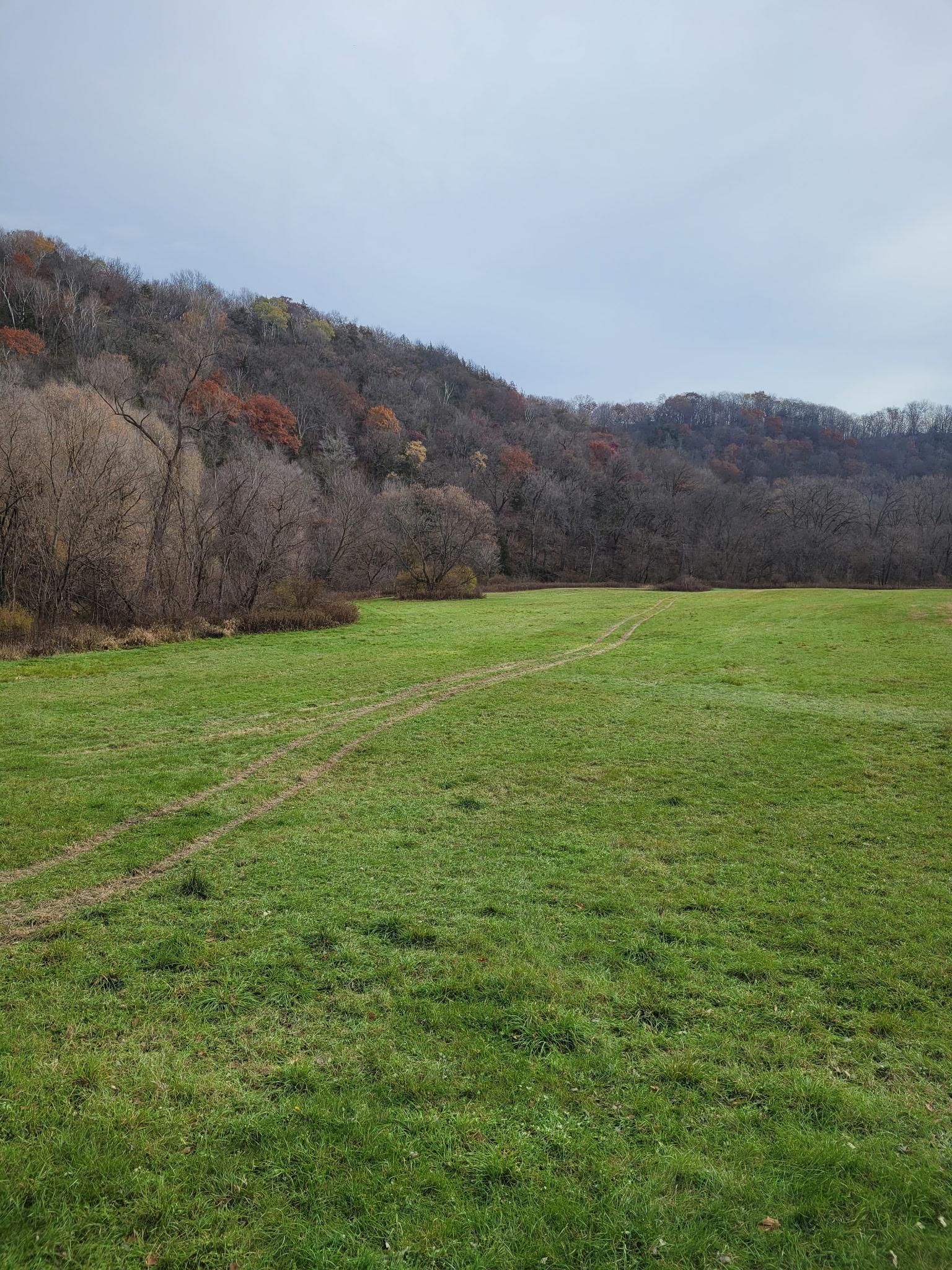 27333 Deep River Road Property Photo 70