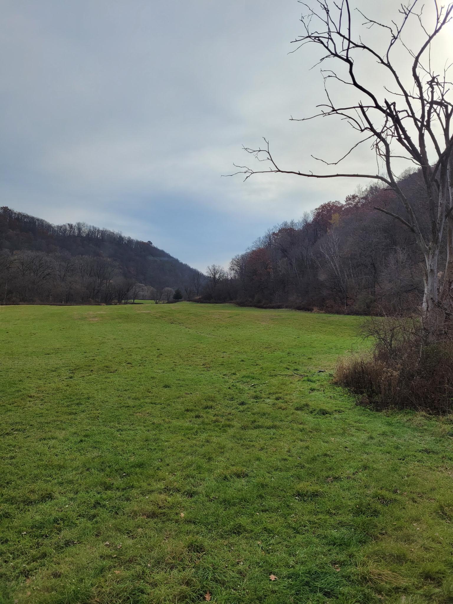 27333 Deep River Road Property Photo 71