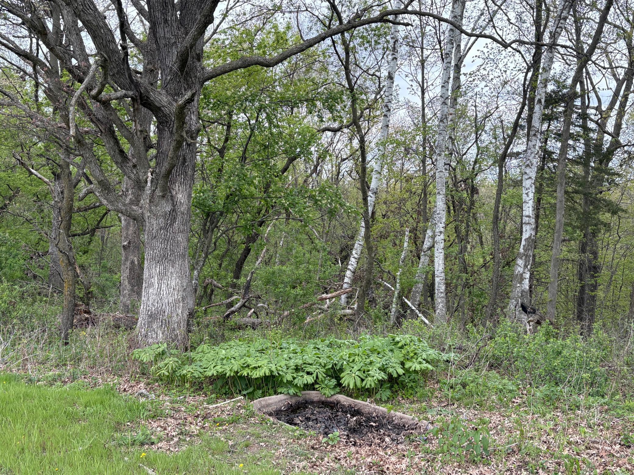 27333 Deep River Road Property Photo 74