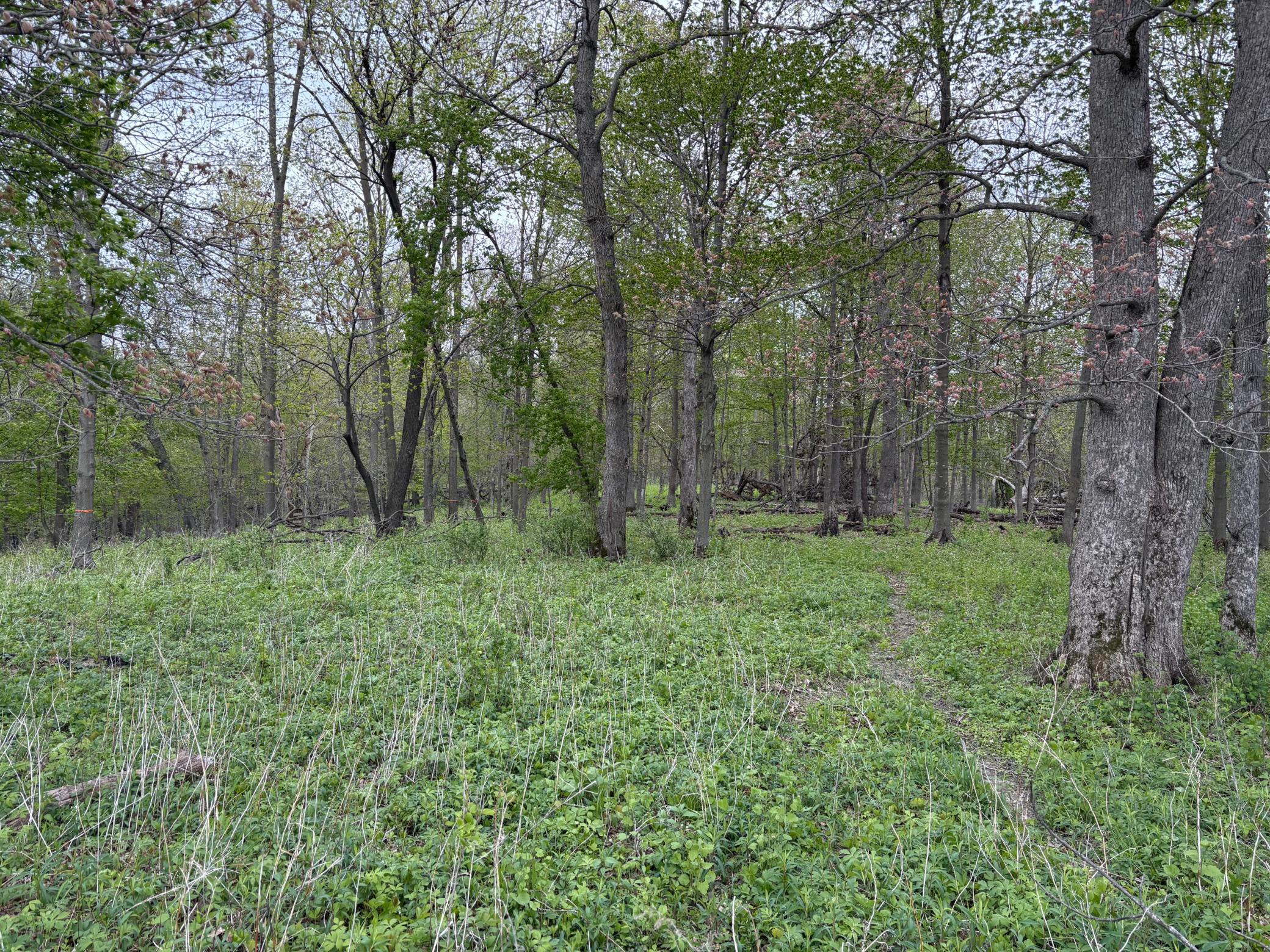 27333 Deep River Road Property Photo 79