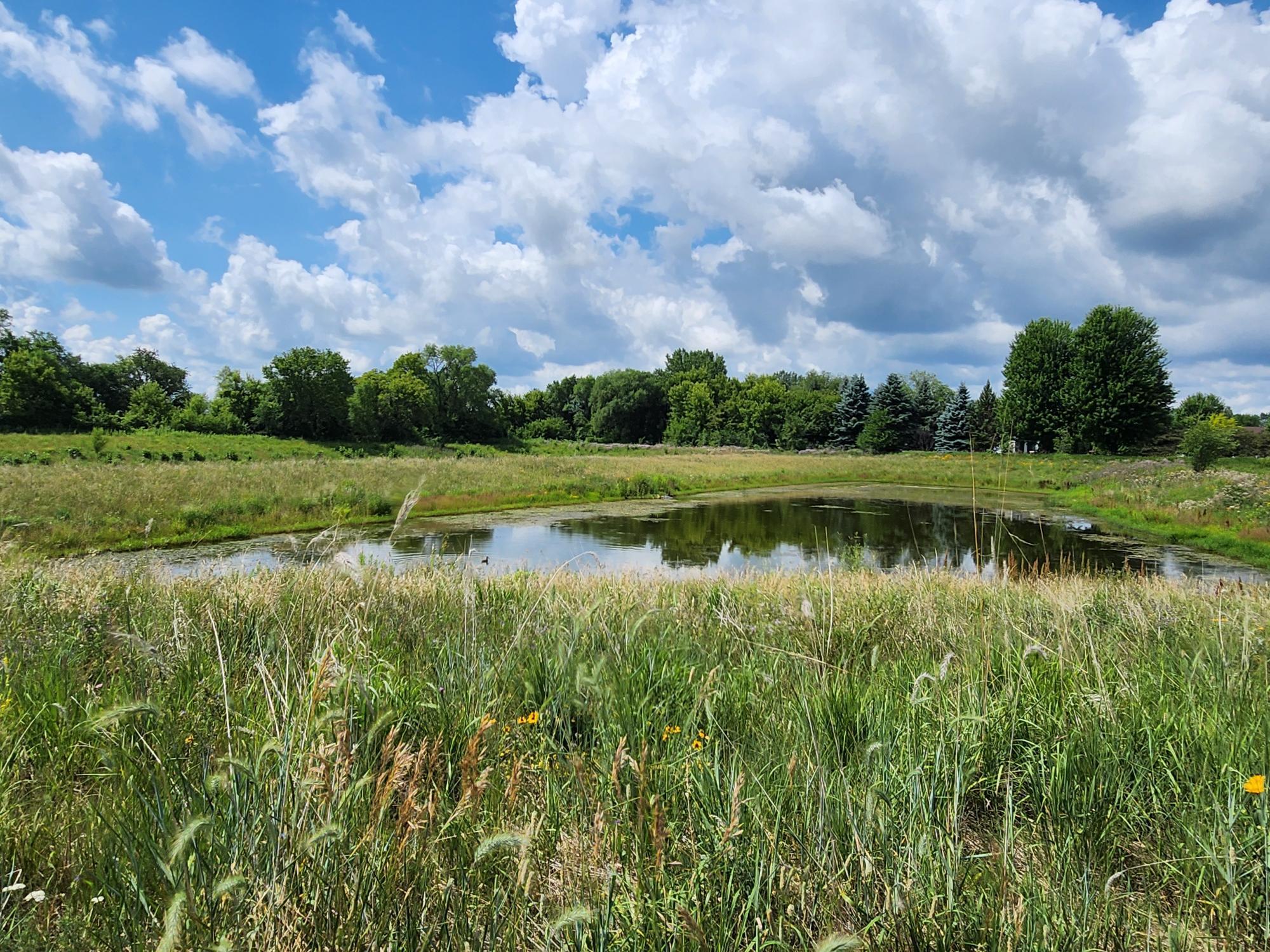 13717 Kaylemore Trail Property Photo 25