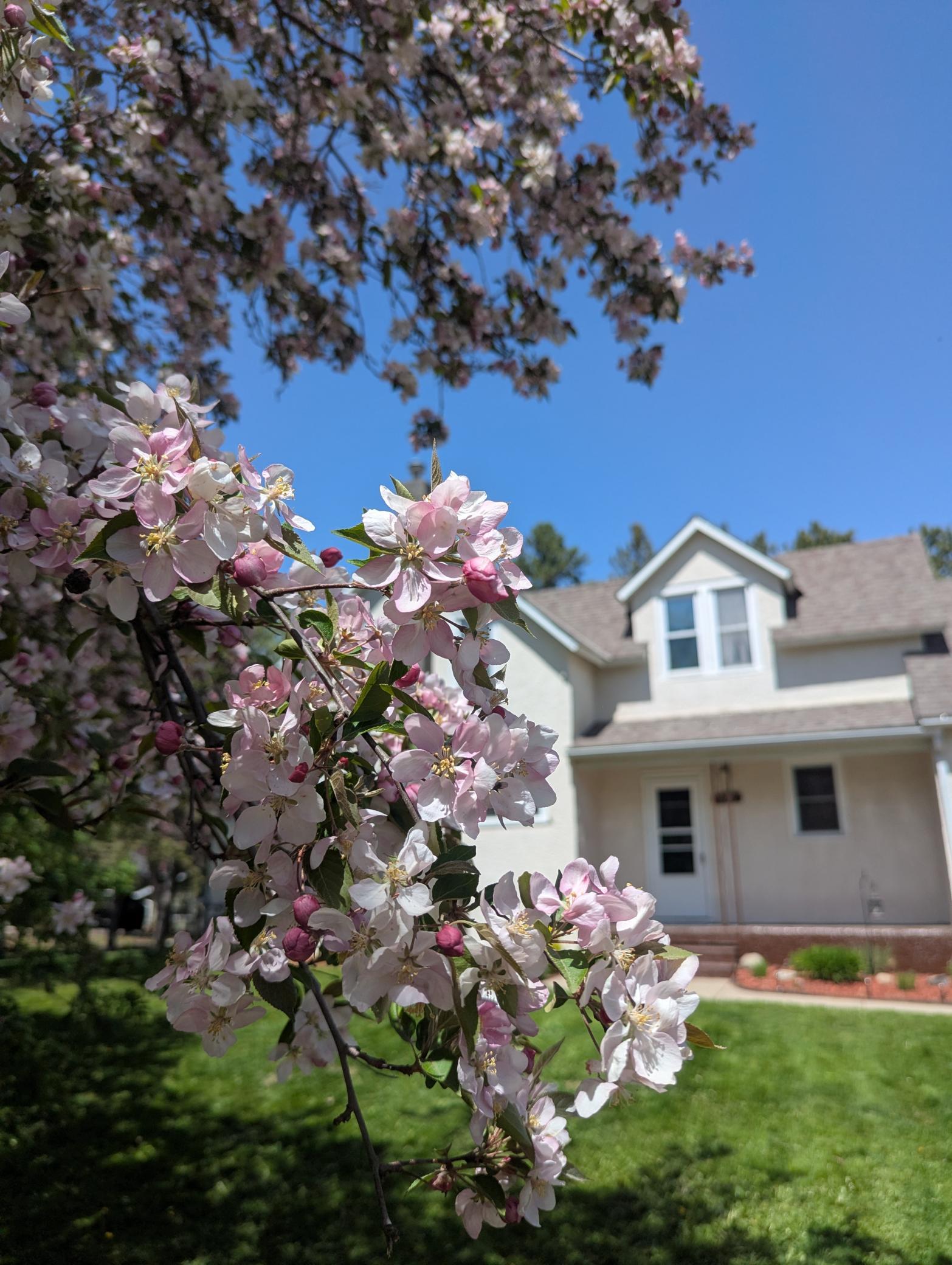 111 E Elm Avenue Property Photo 3