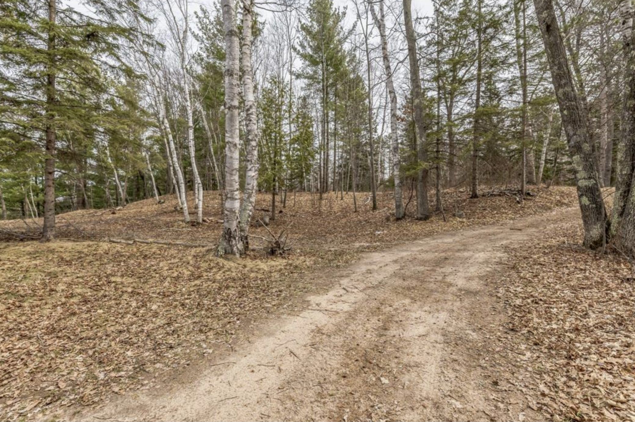 Tbd Birch Bay Lane Ne Property Photo 6