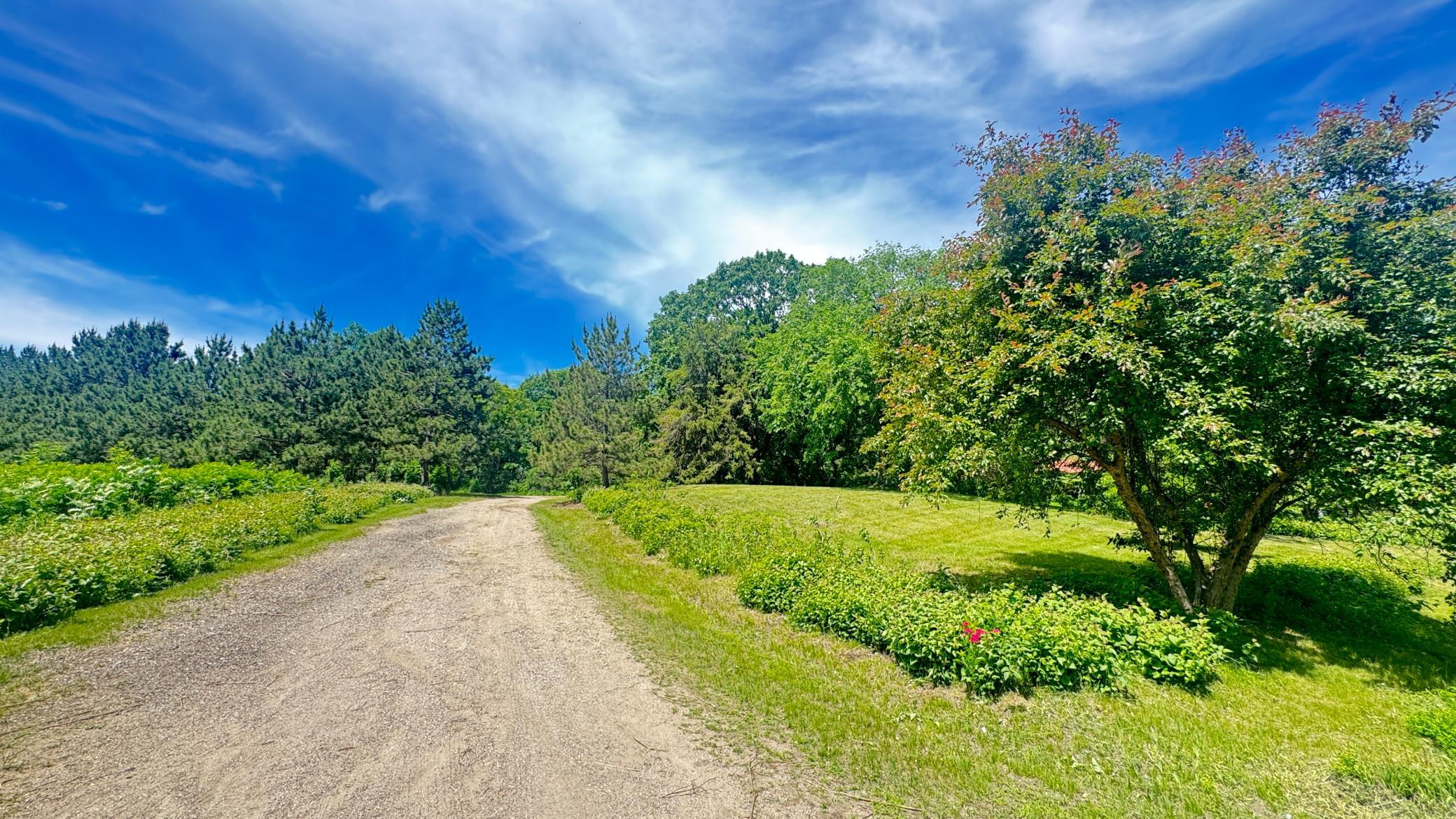 29284 Mchugh Road Property Photo 3