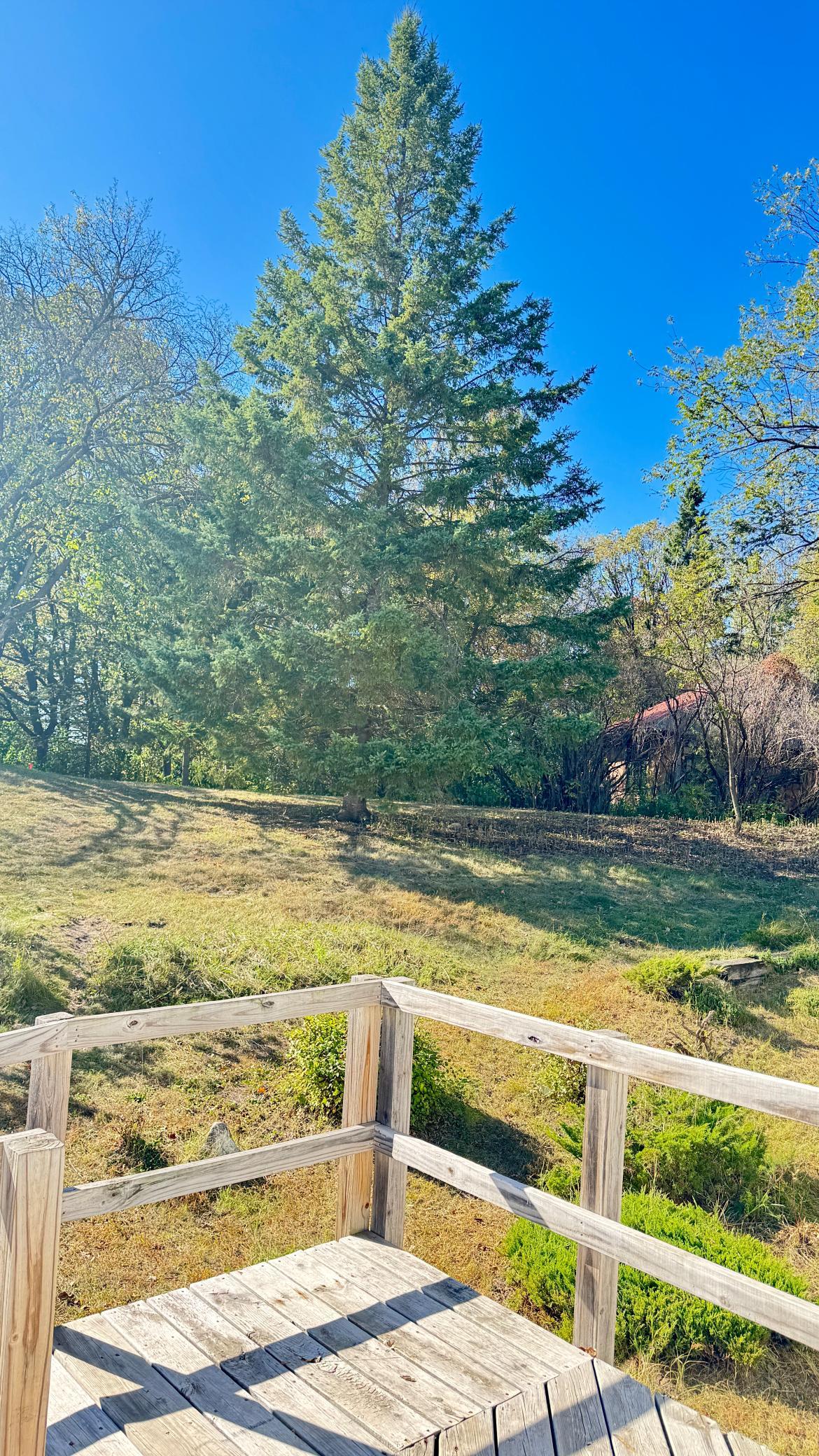 29284 Mchugh Road Property Photo 13