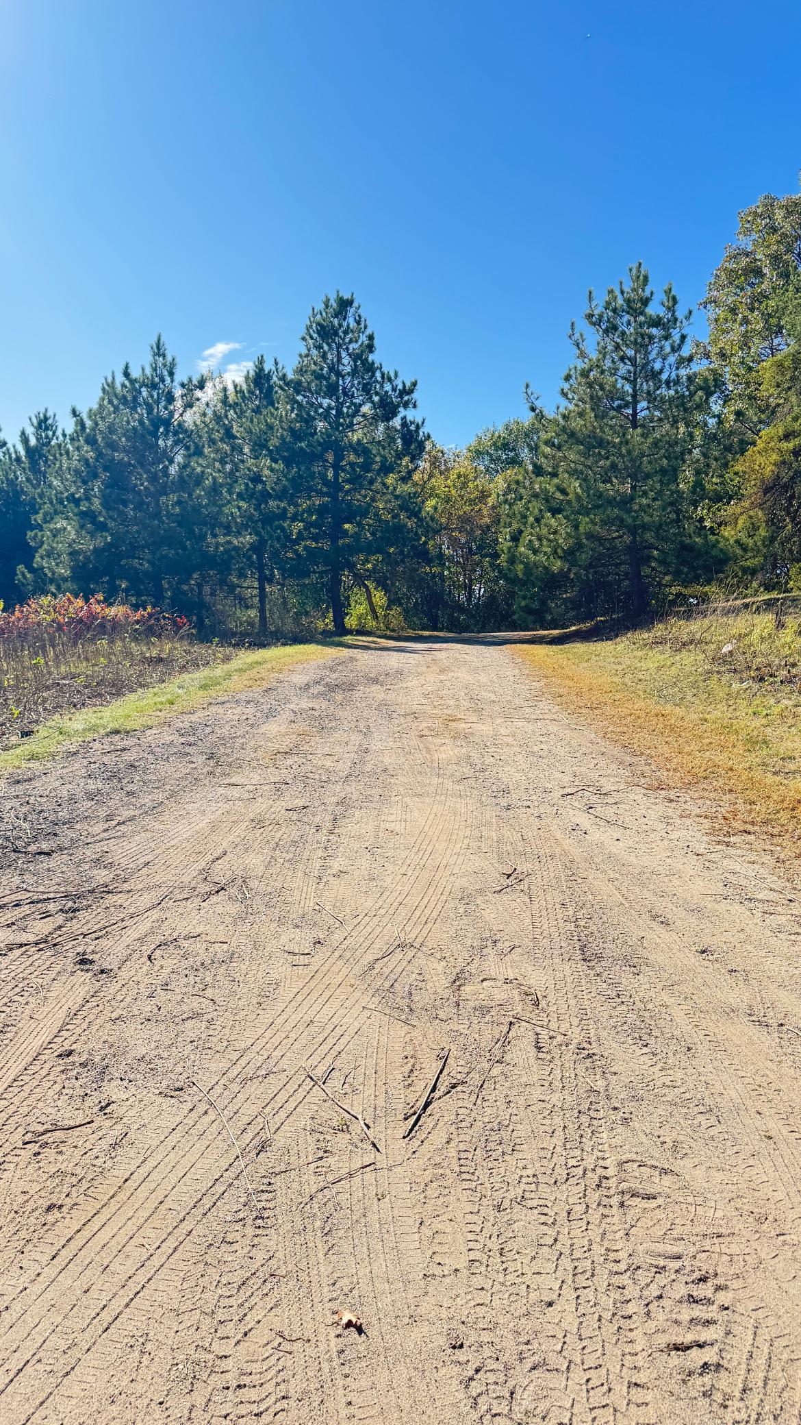29284 Mchugh Road Property Photo 23