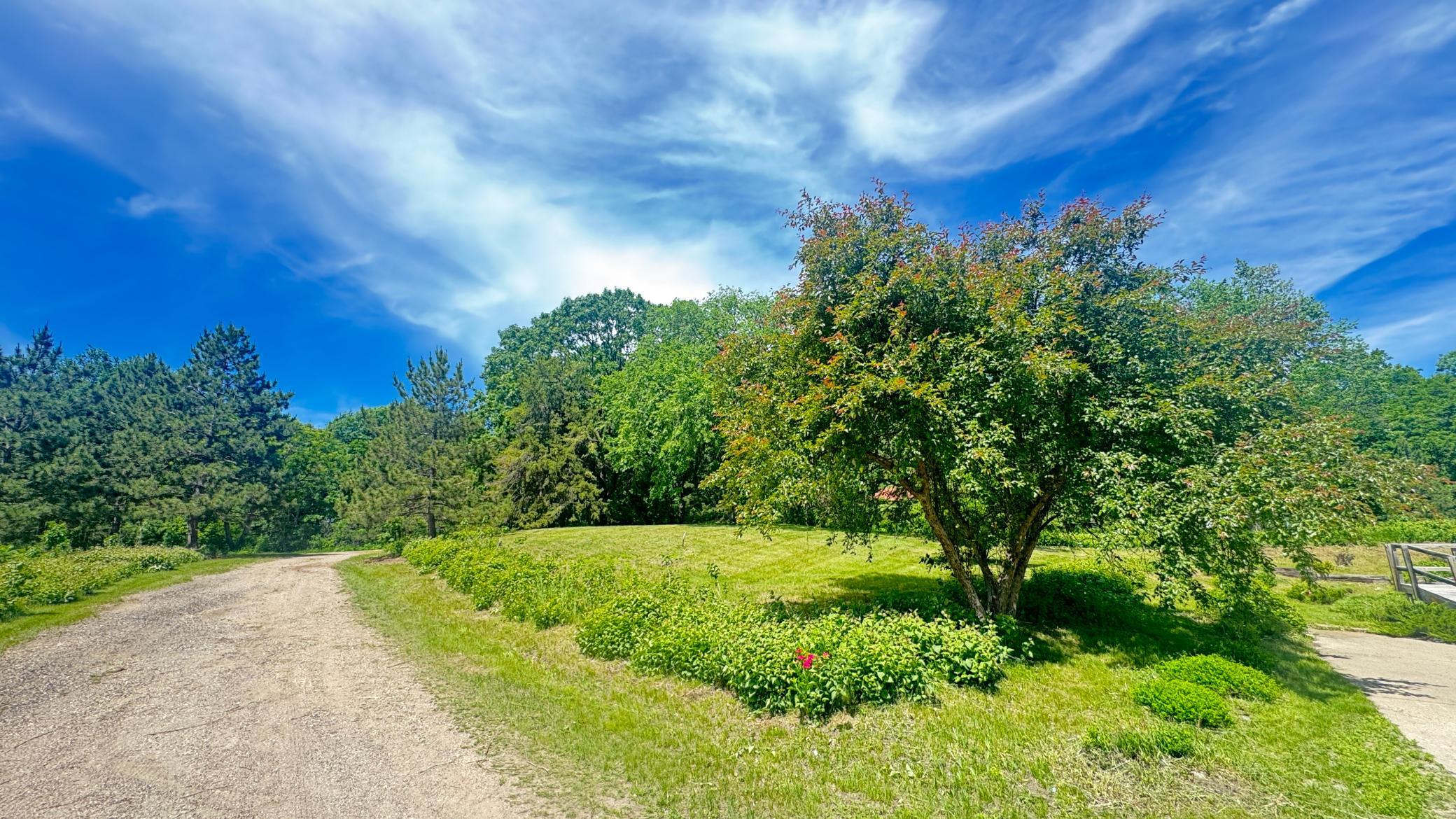 29284 Mchugh Road Property Photo 26