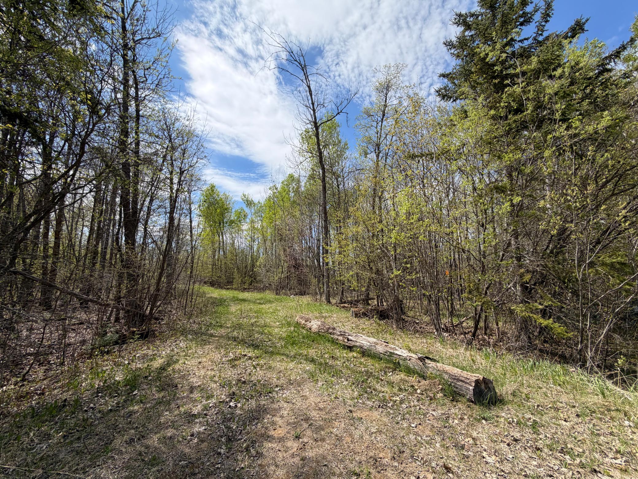 51265 Vagabond Loop Property Photo 2