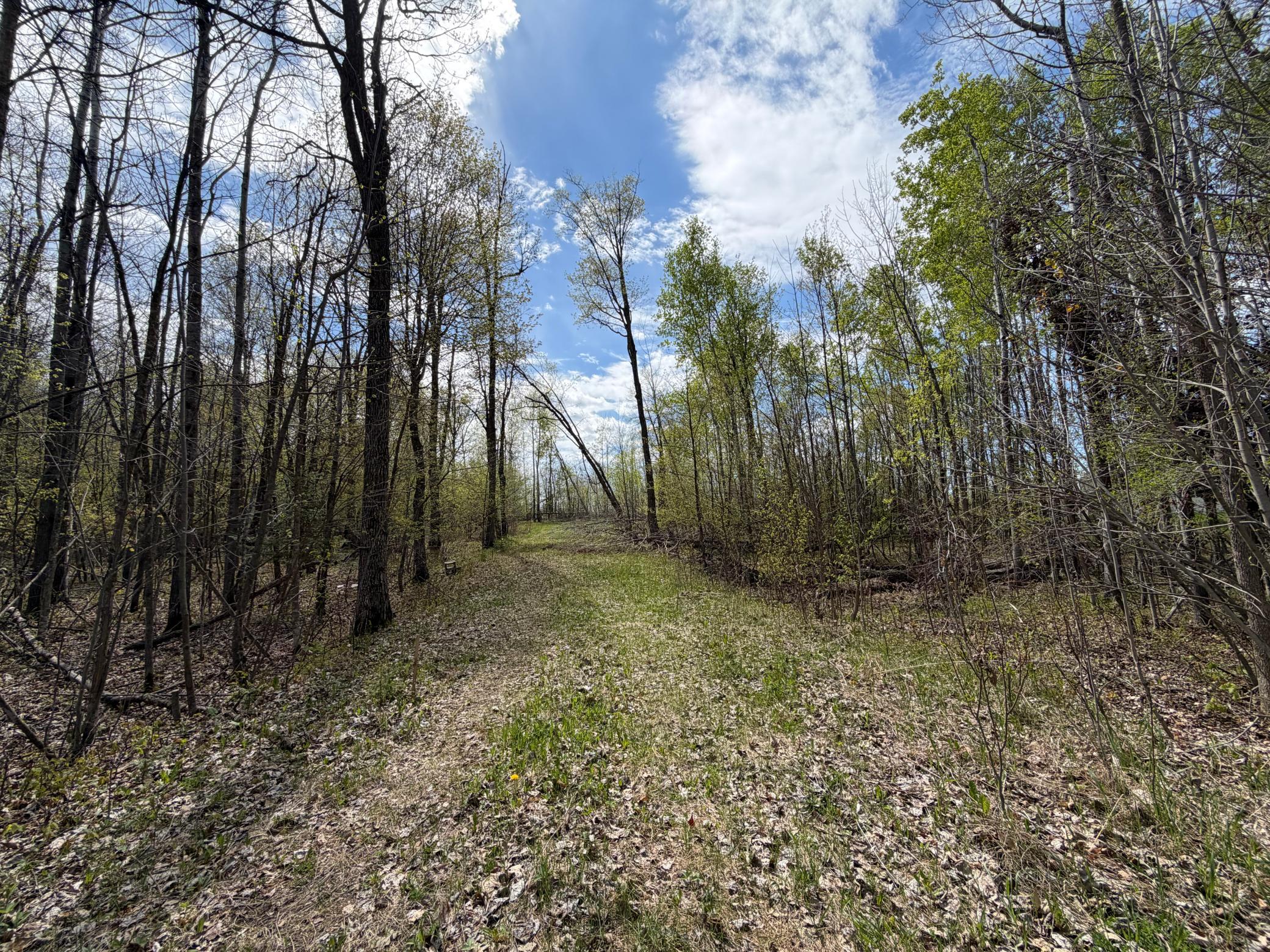 51265 Vagabond Loop Property Photo 3