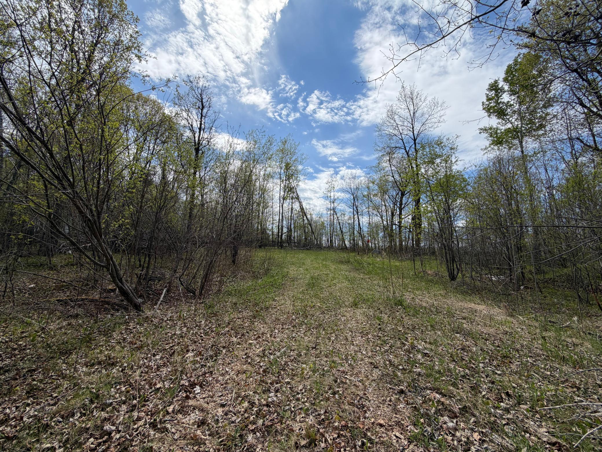 51265 Vagabond Loop Property Photo 5