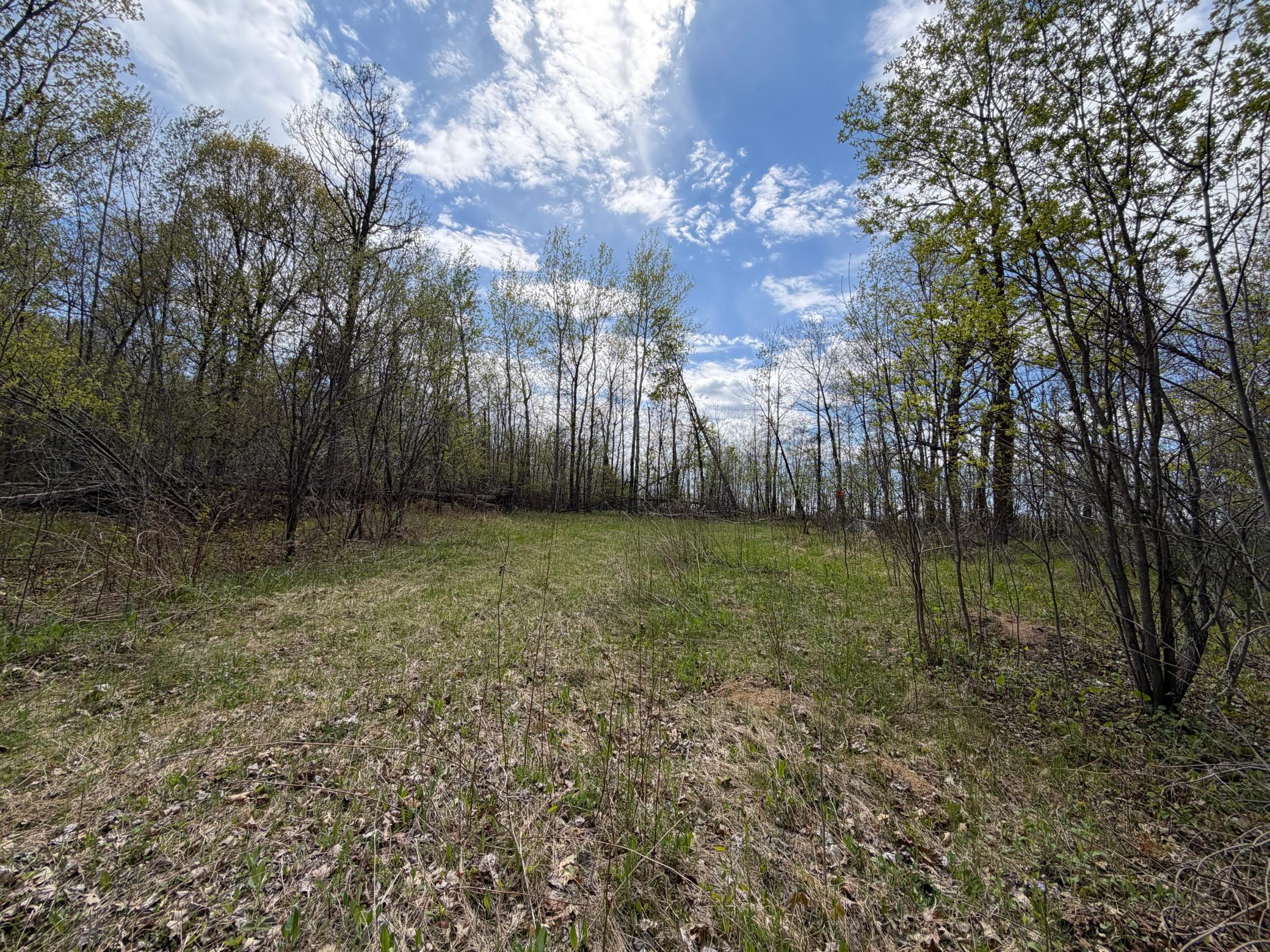 51265 Vagabond Loop Property Photo 6