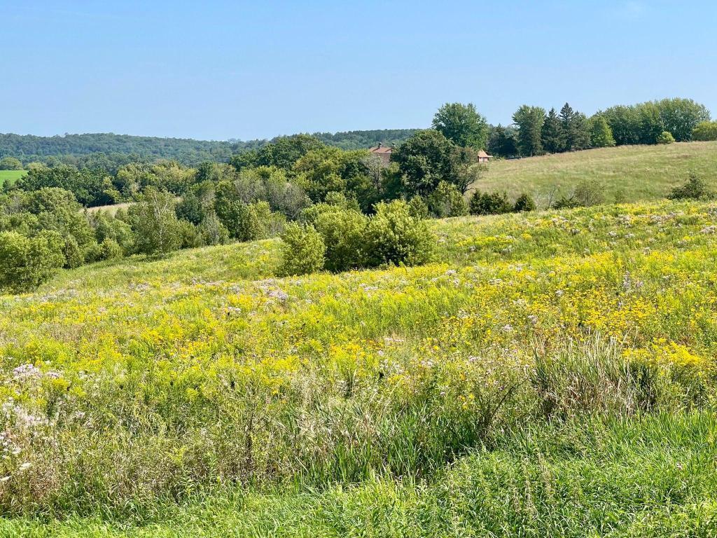 Tbd-c County 8 Property Photo 28