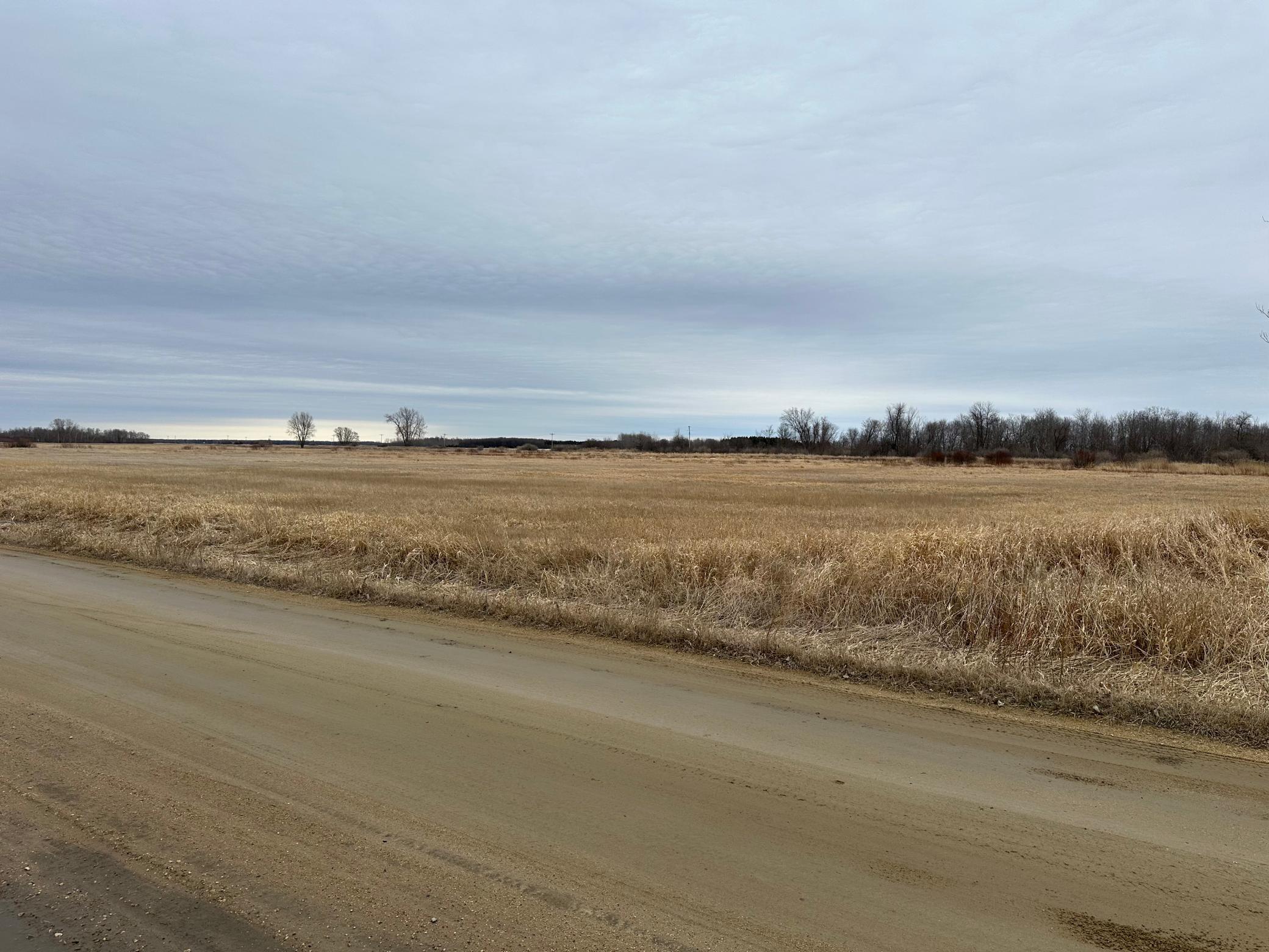 Tbd State Hwy 11 Property Photo 1