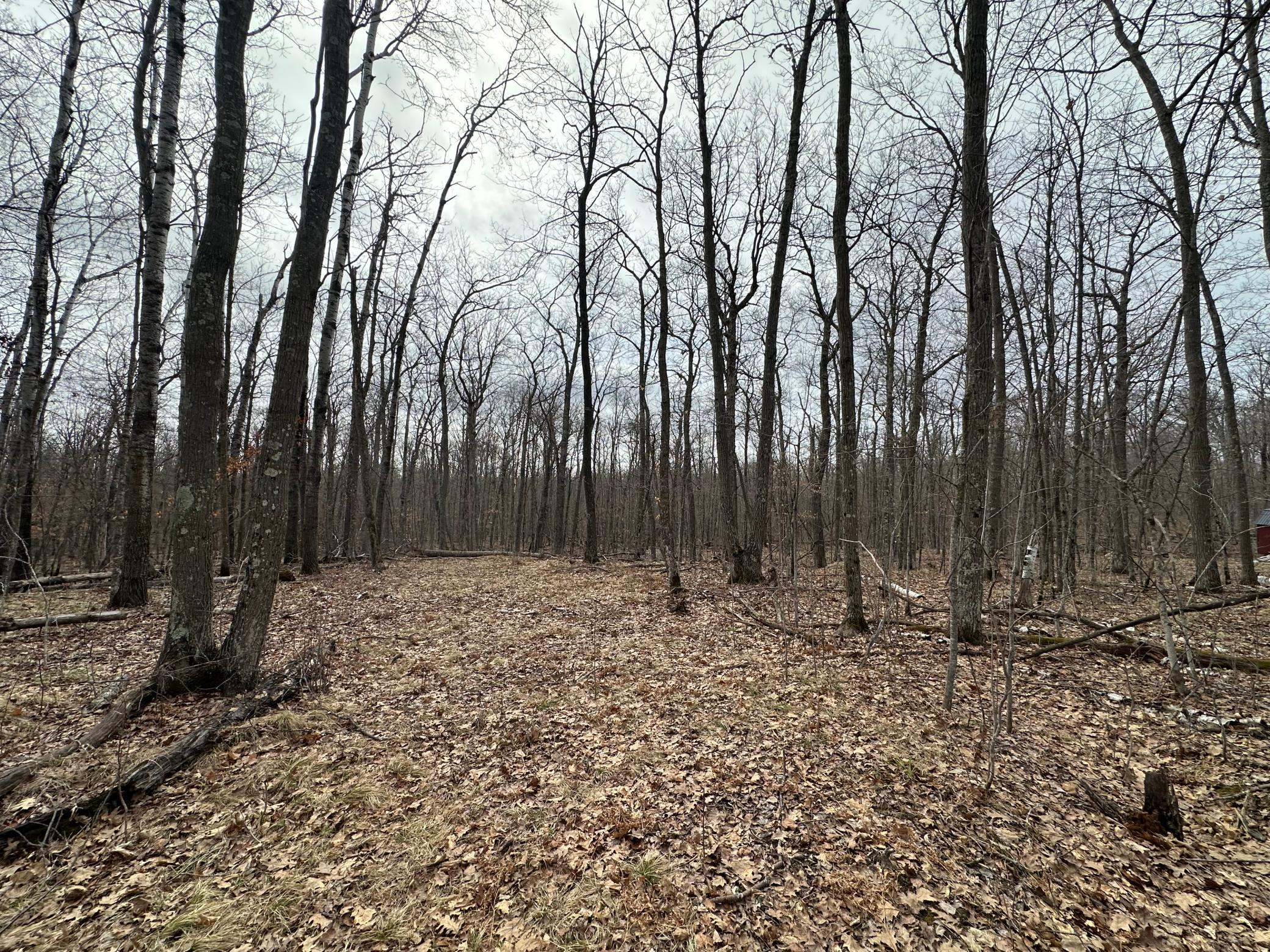 17700 County Road 41 Property Photo 8