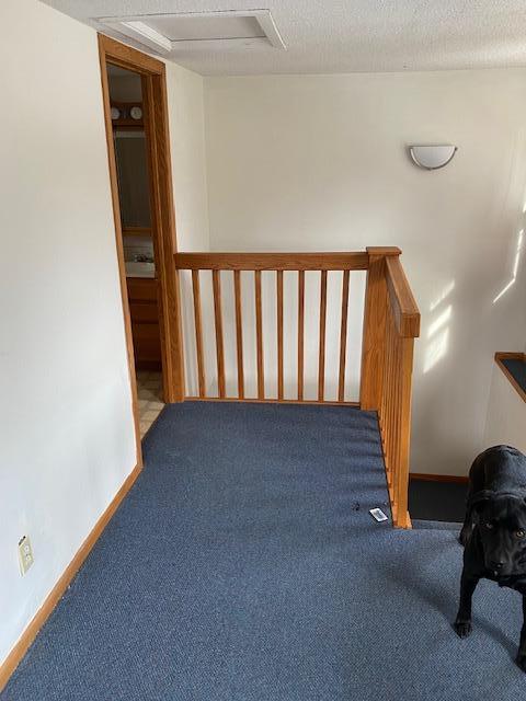 4501 Birchmont Drive Ne Property Photo 8