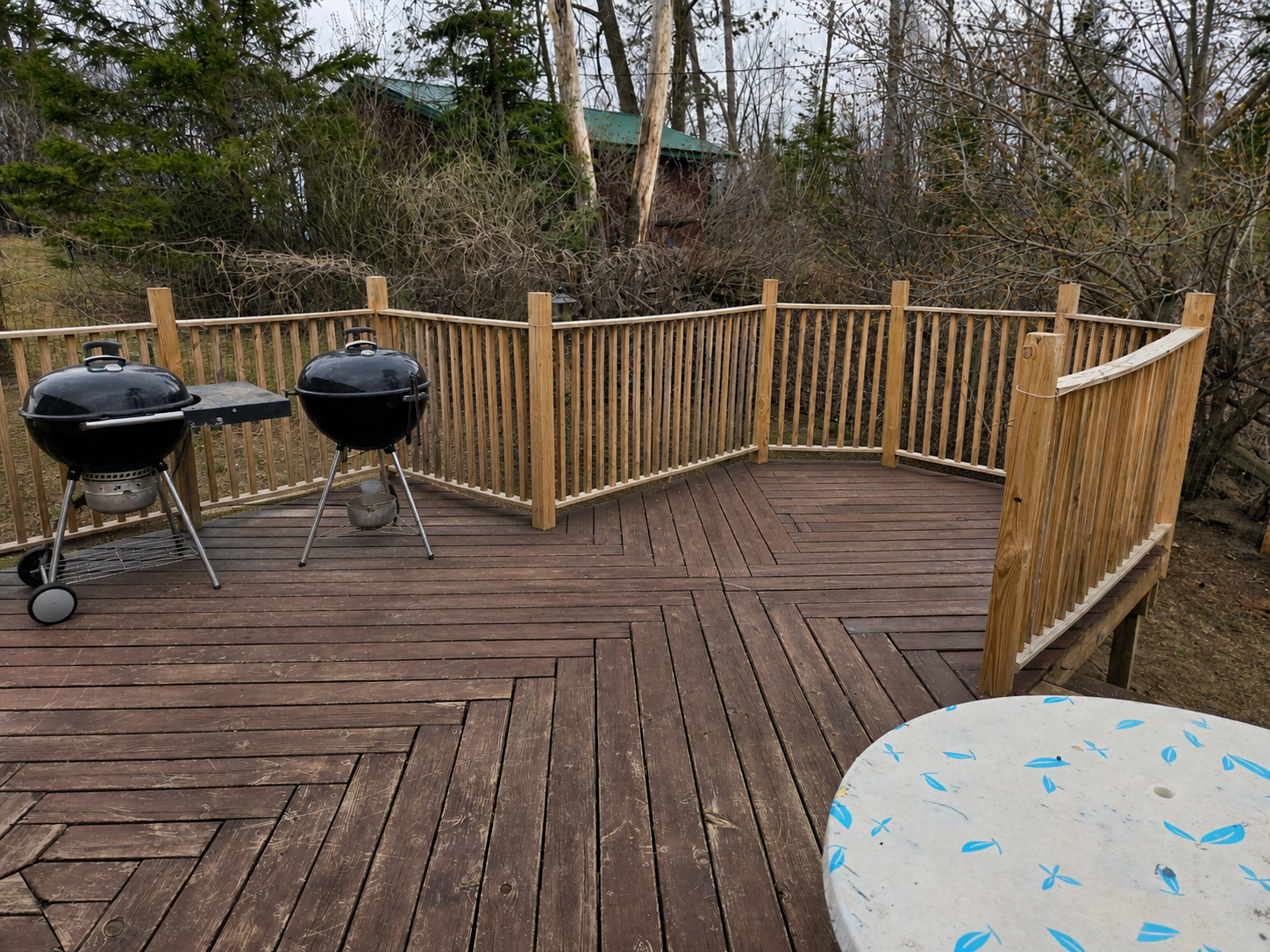 4501 Birchmont Drive Ne Property Photo 27