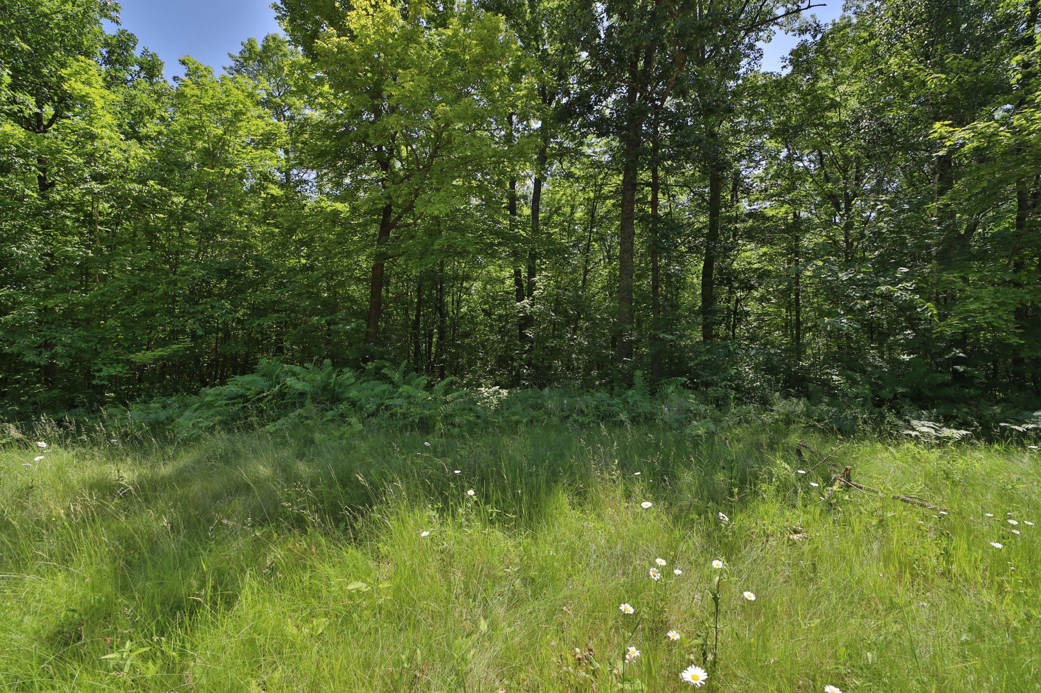 Tract D Olander Road Property Photo 1