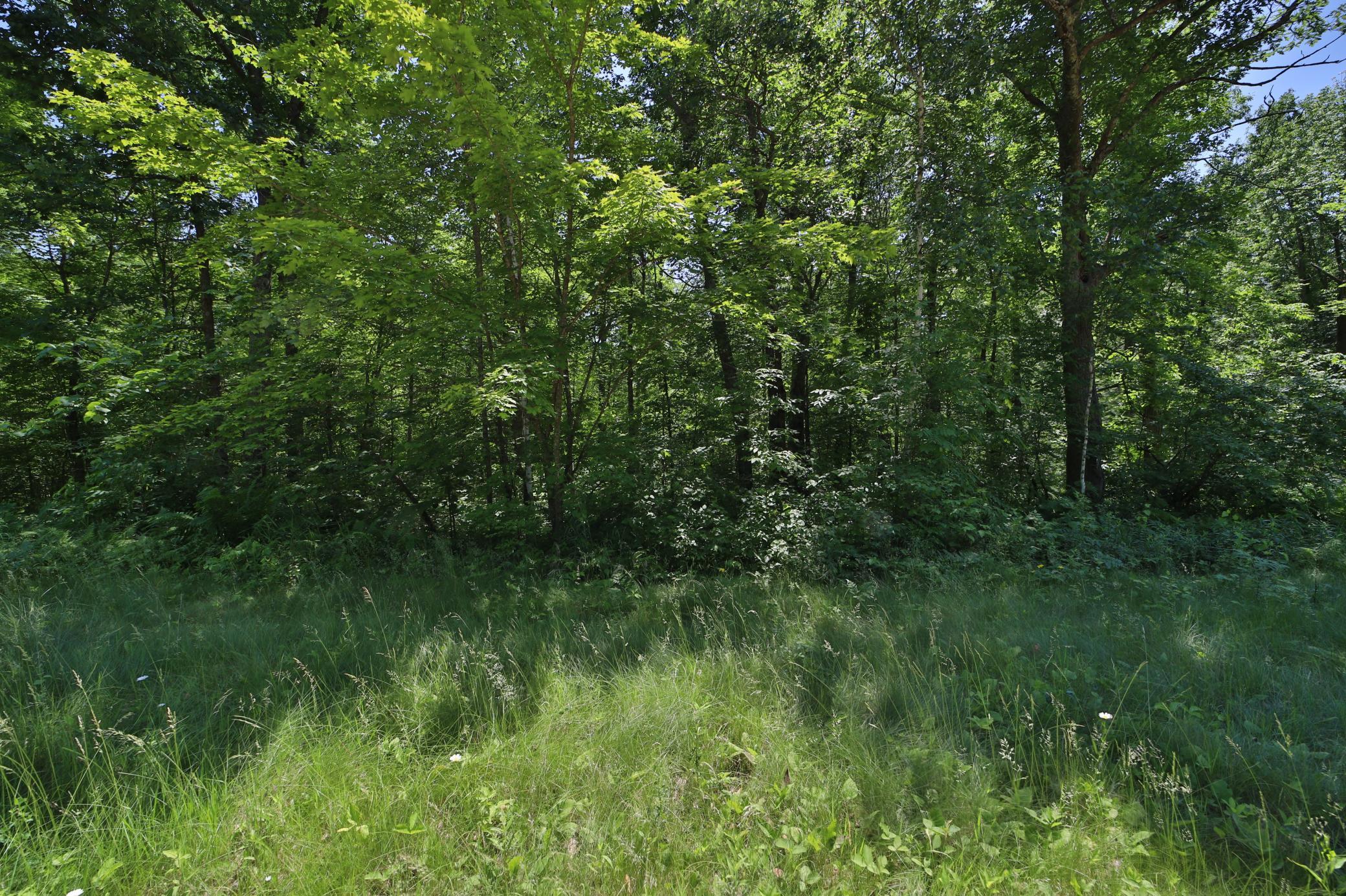 Tract D Olander Road Property Photo 3