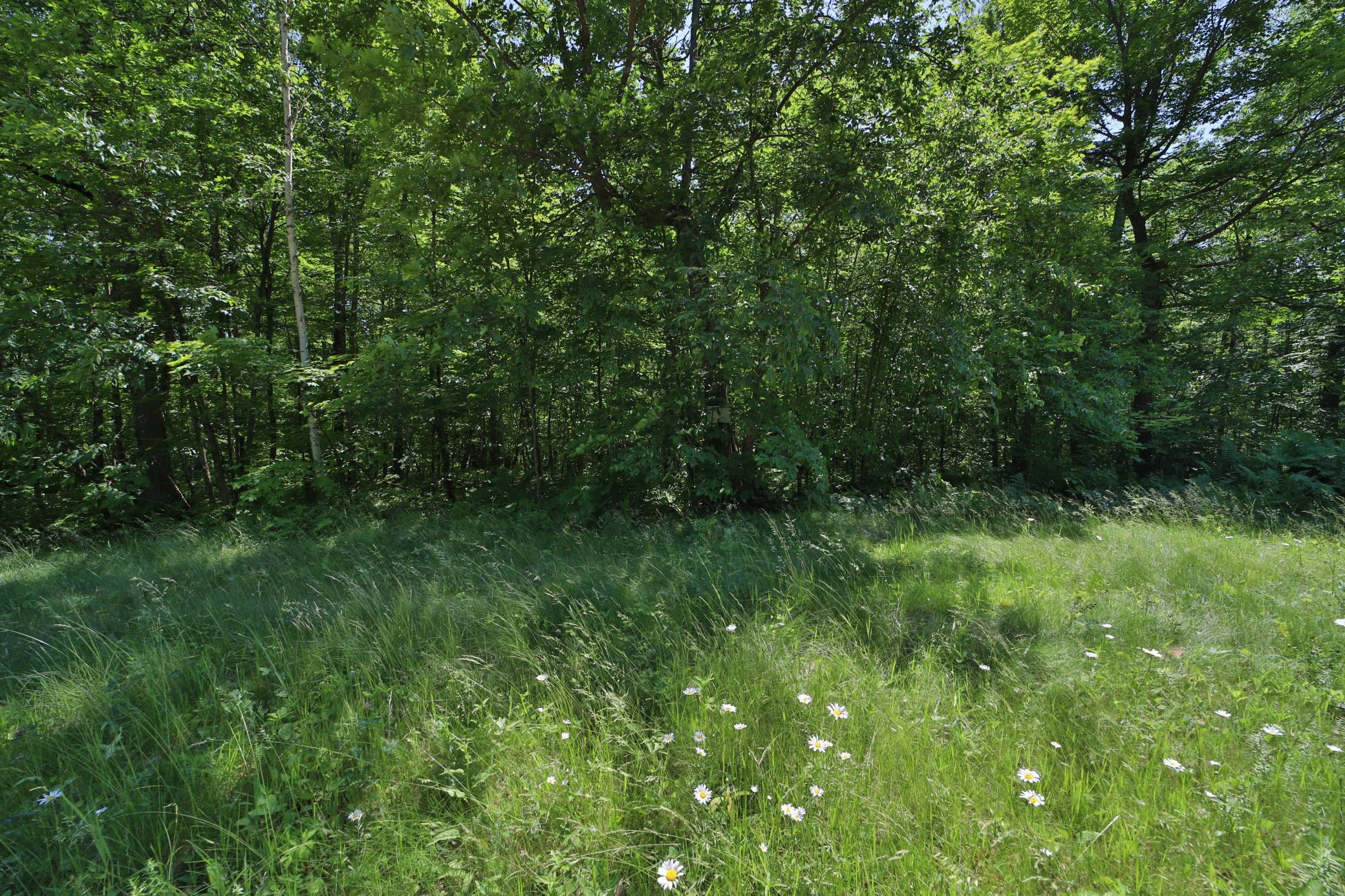 Tract D Olander Road Property Photo 5