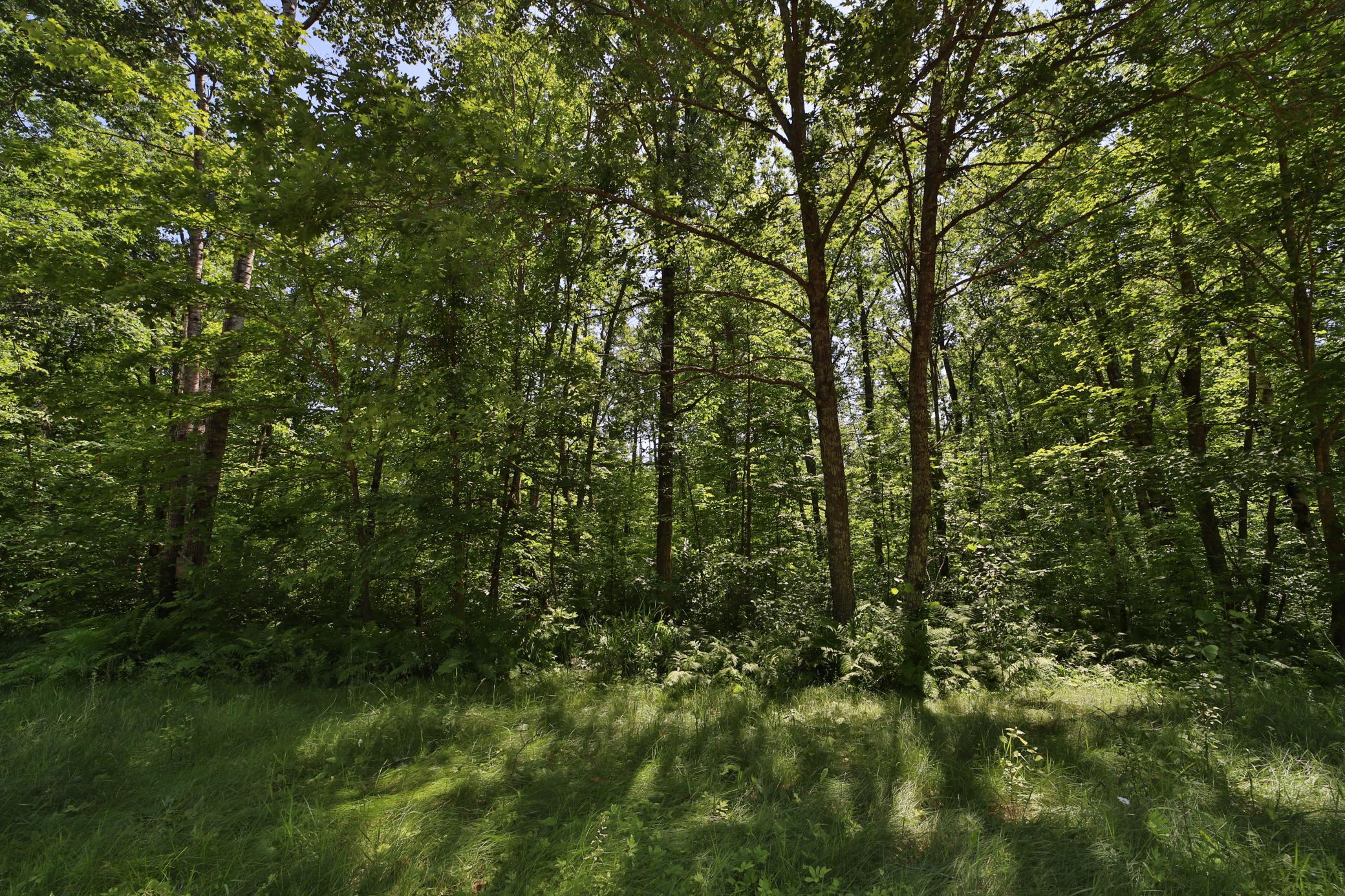 Tract D Olander Road Property Photo 8