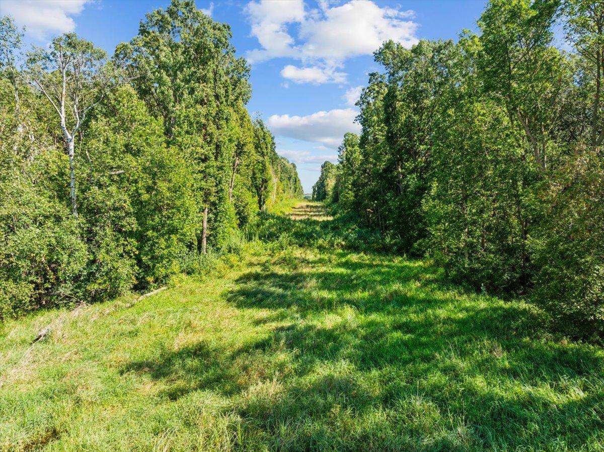 2389 Us Highway 63 Property Photo 8