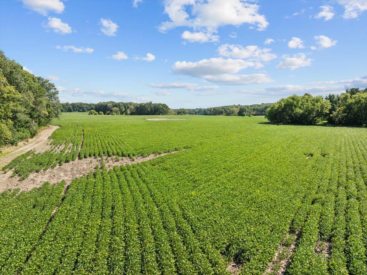 2389 Us Highway 63 Property Photo 9
