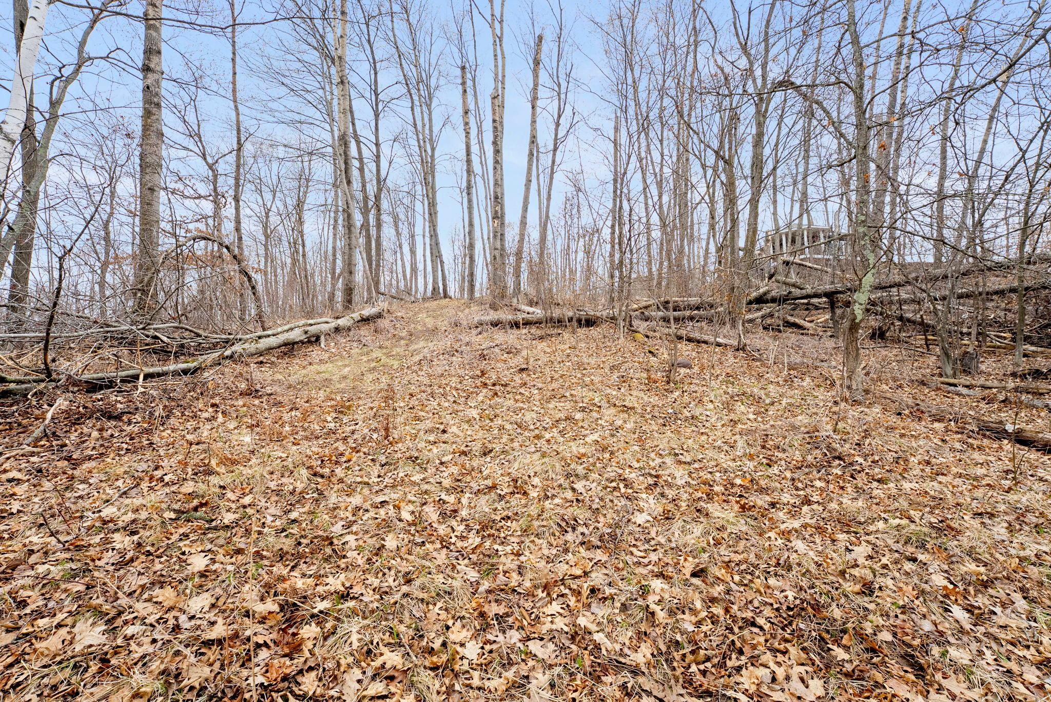 Xxx Lot 4 330th Ave/68th St Property Photo 18